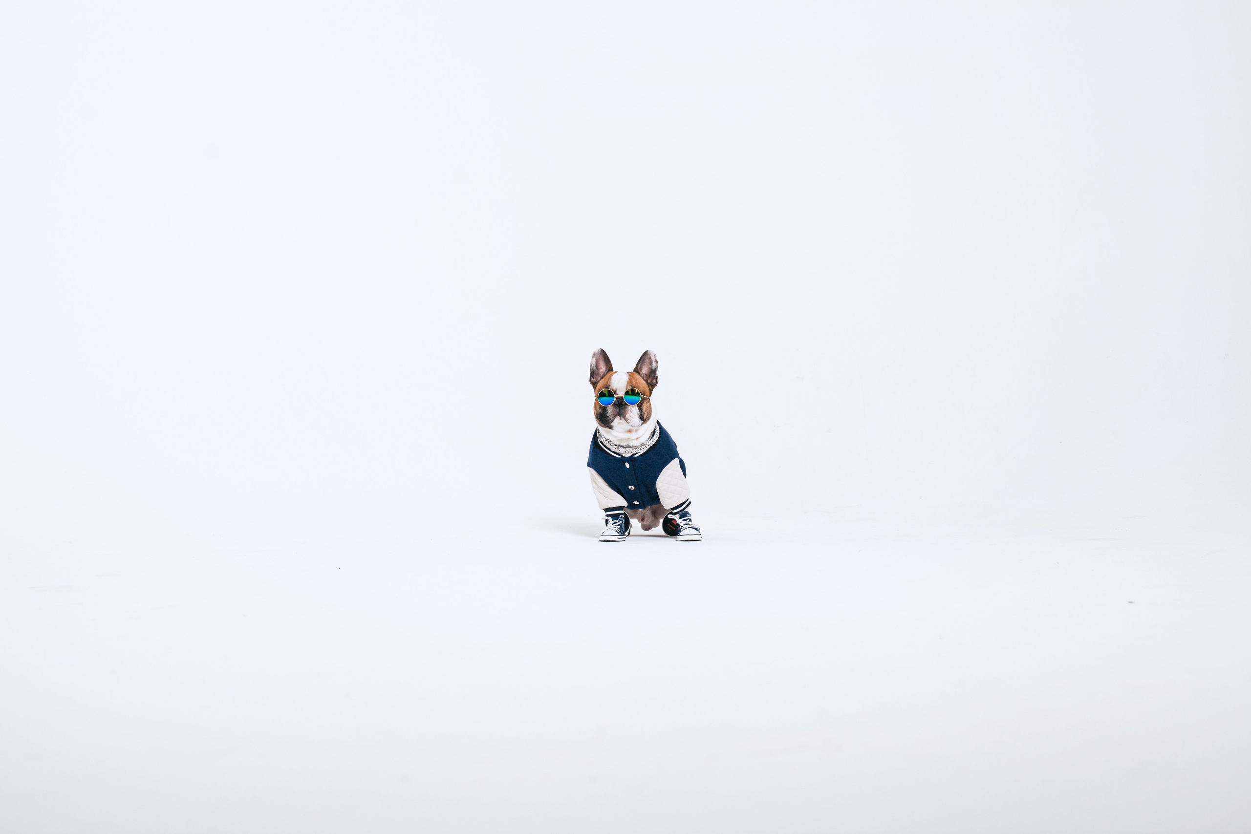 Пижамная вечеринка французских бульдогов и их хозяев. Фотограф-анималист Татьяна Степанова