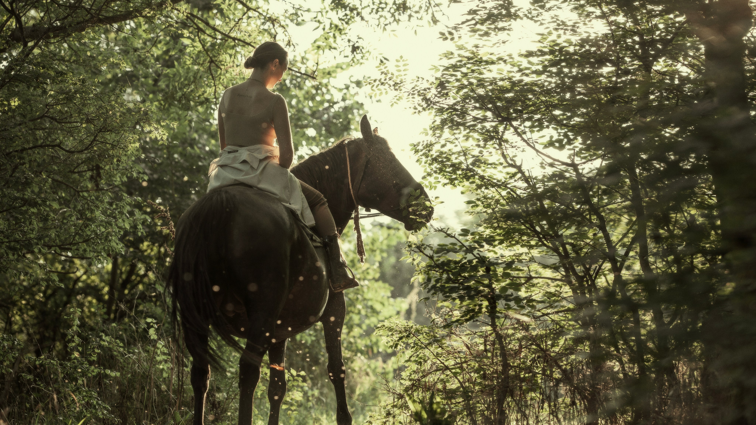 ВЕРНЫЙ СПУТНИК. Фотограф и Видеограф Артур Гимаев