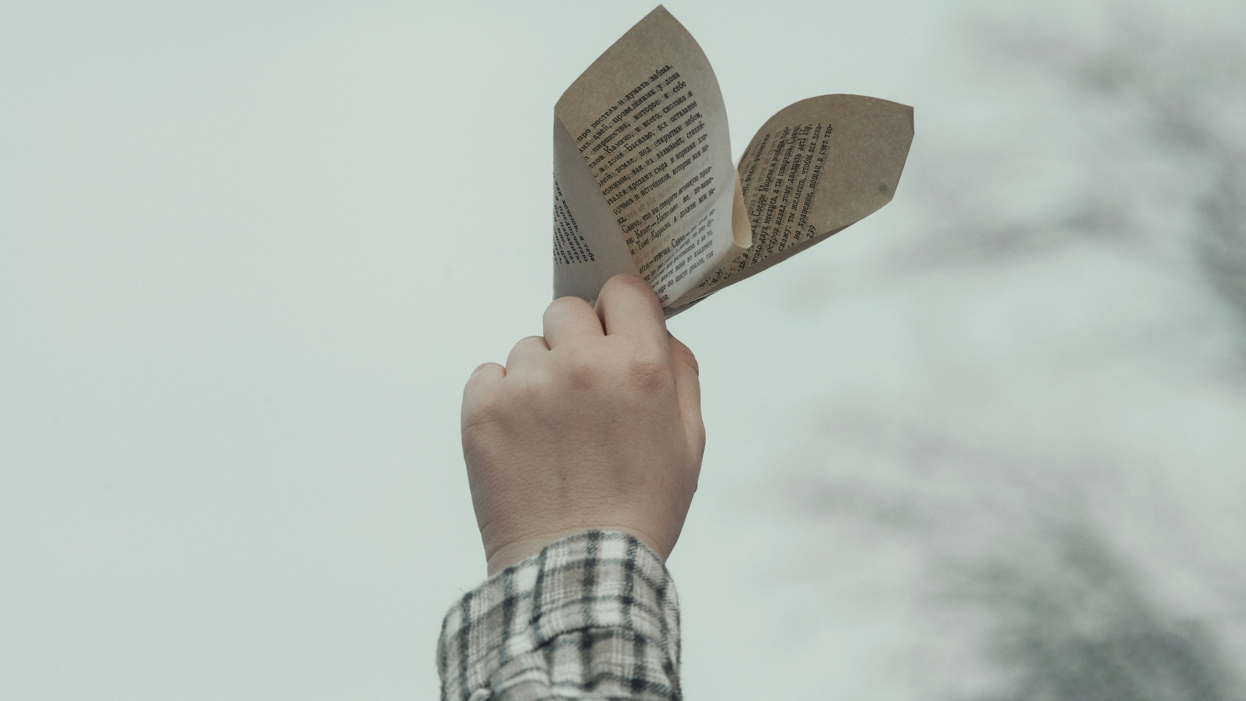 Книголюбы. Фотограф и Видеограф Артур Гимаев