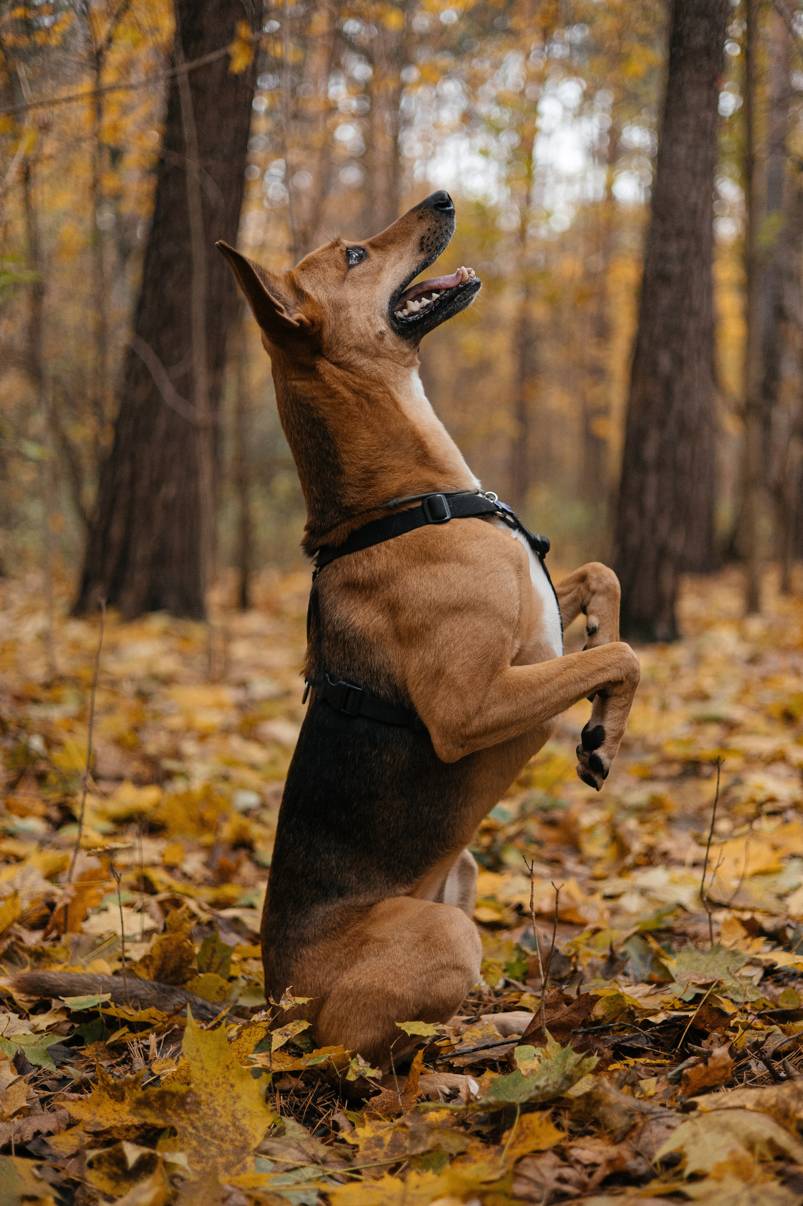 Нелли, Лёша, Рэй и Норд. Фотограф Анна Луценко Москва
