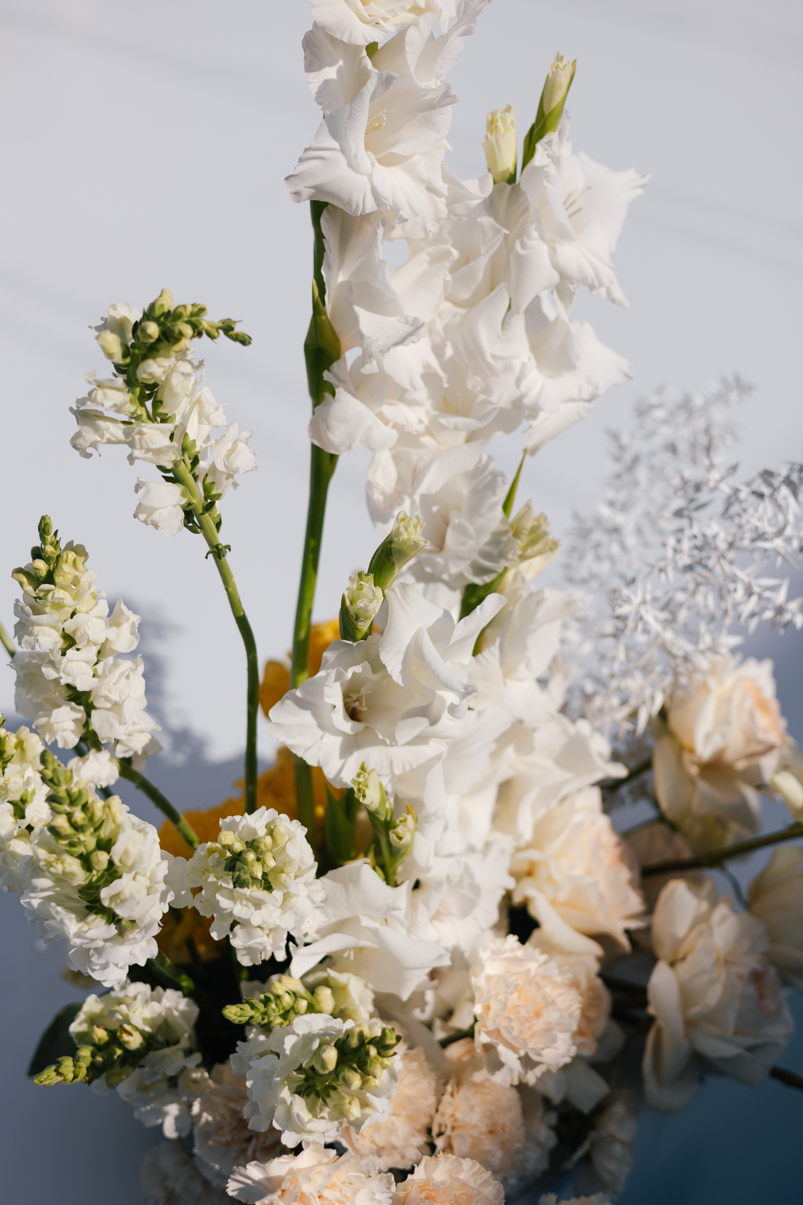 Николай и Арина. Wedding and Reportage photographer Marmarov Christya