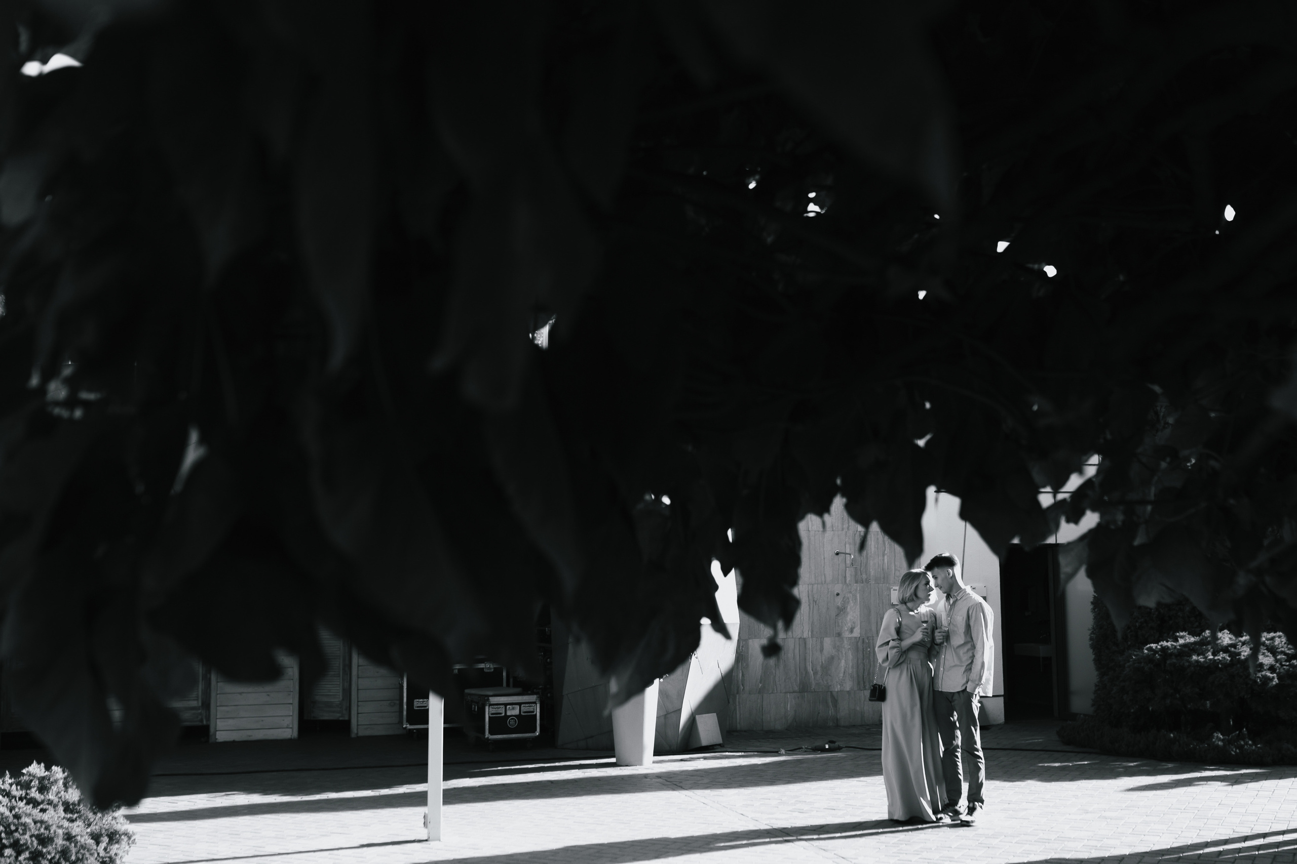 Николай и Арина. Wedding and Reportage photographer Marmarov Christya