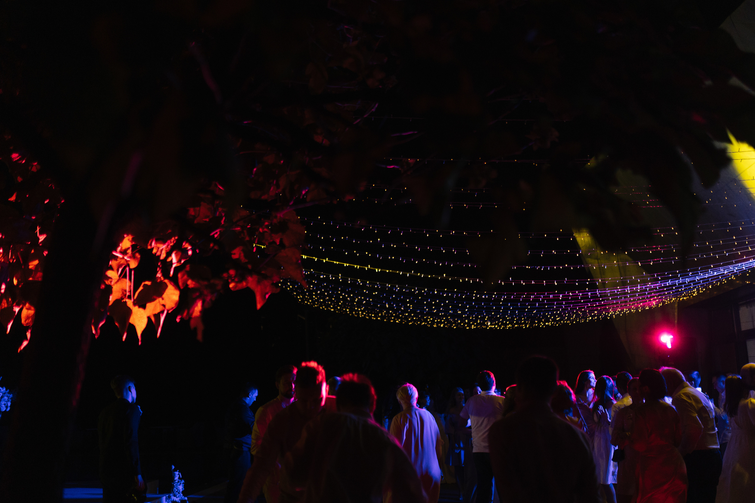 Николай и Арина. Wedding and Reportage photographer Marmarov Christya