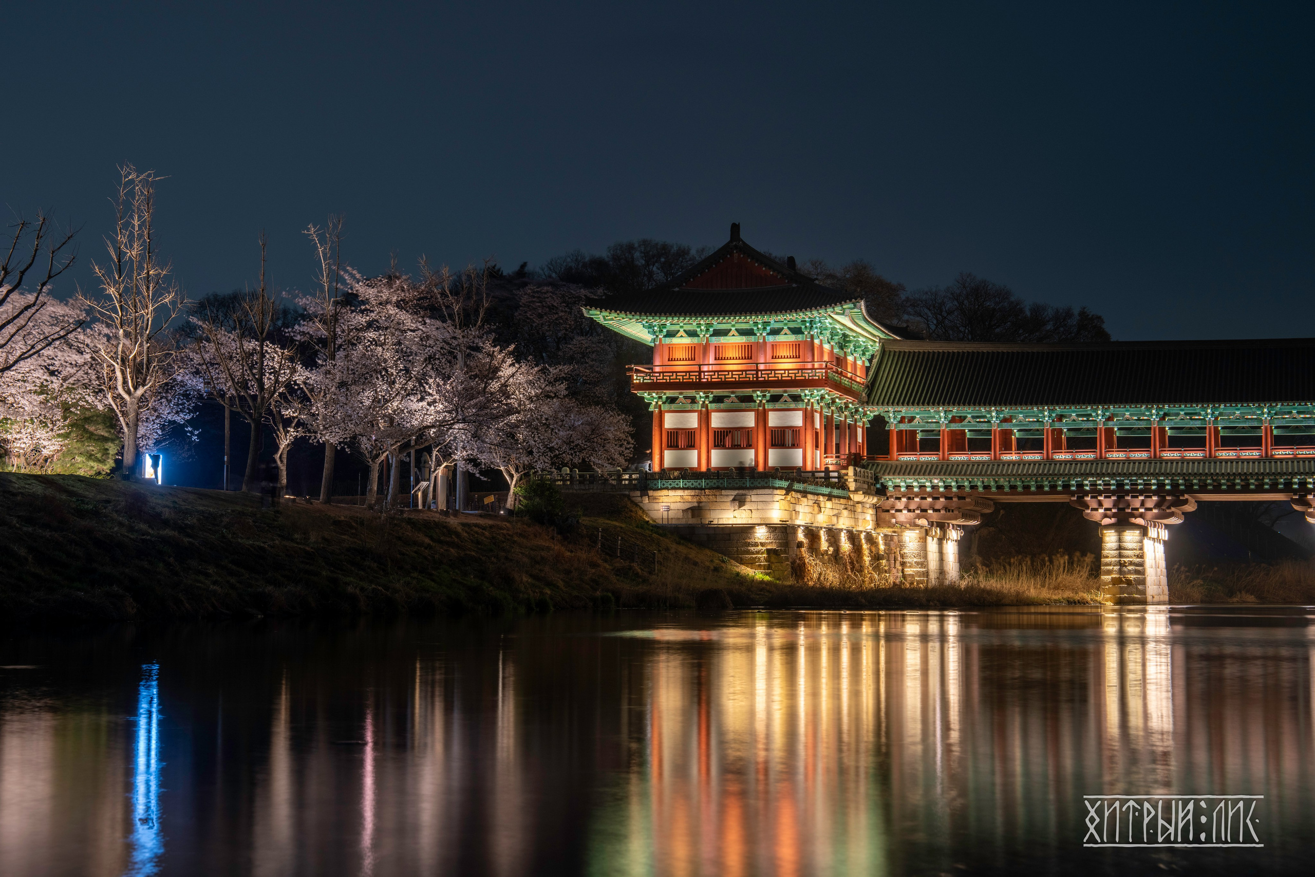 Южная Корея. Фотограф-путешественник Самойлов Максим «Sly Fox»