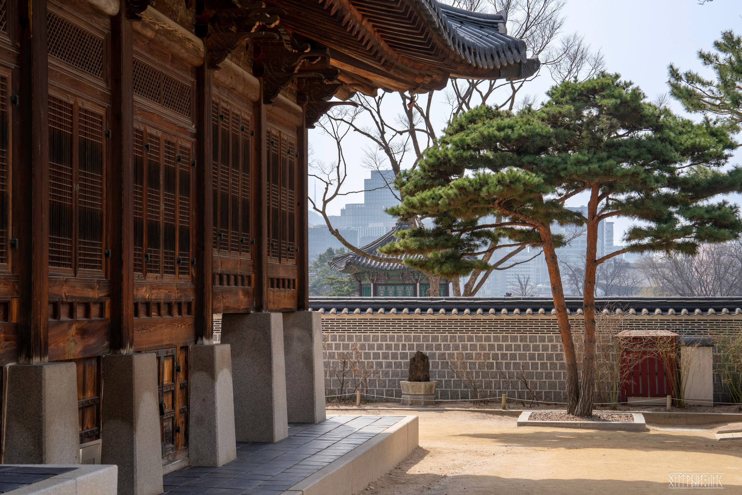 Южная Корея. Фотограф-путешественник Самойлов Максим «Sly Fox»