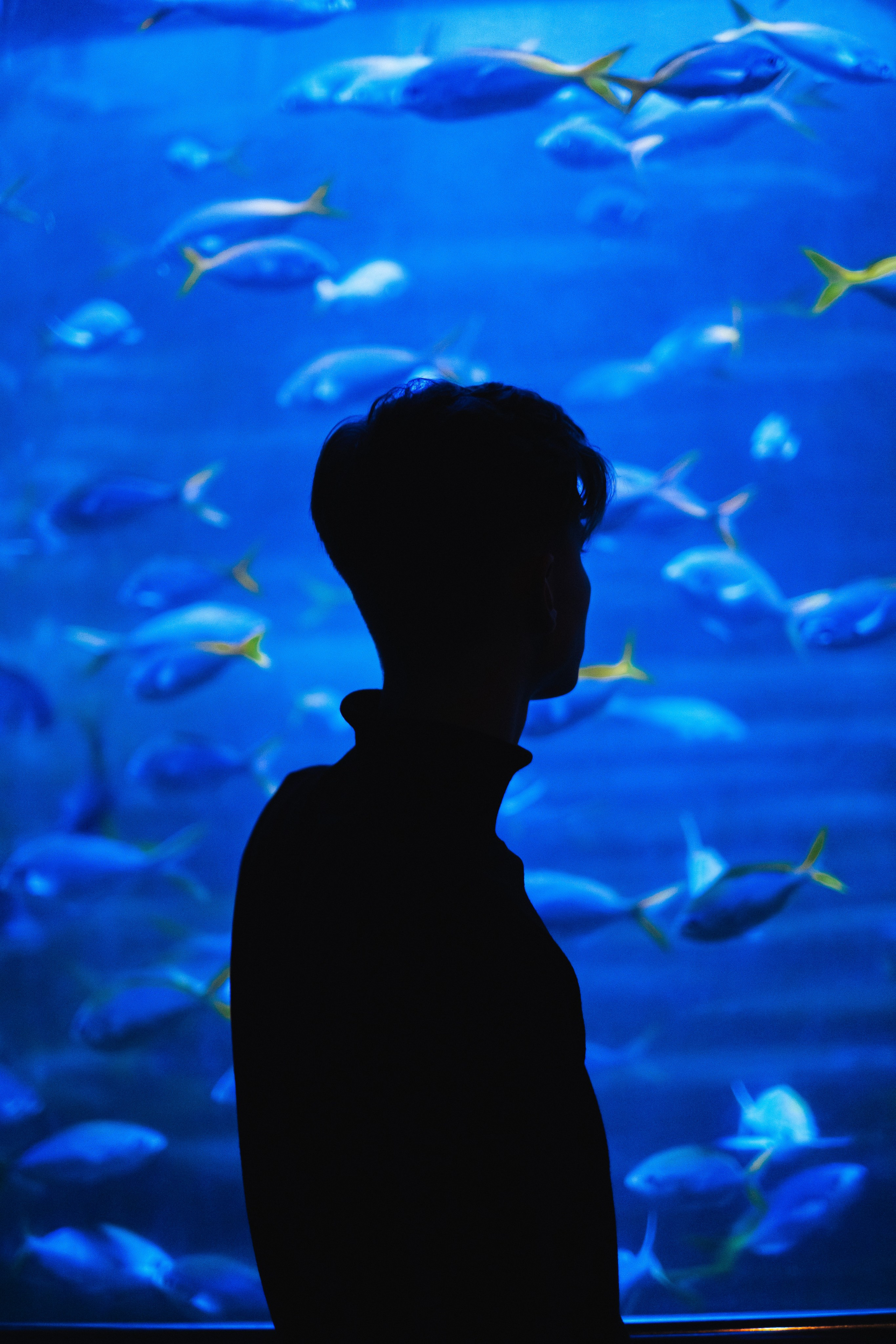 Океанариум. Фотограф Благовещенска Яна