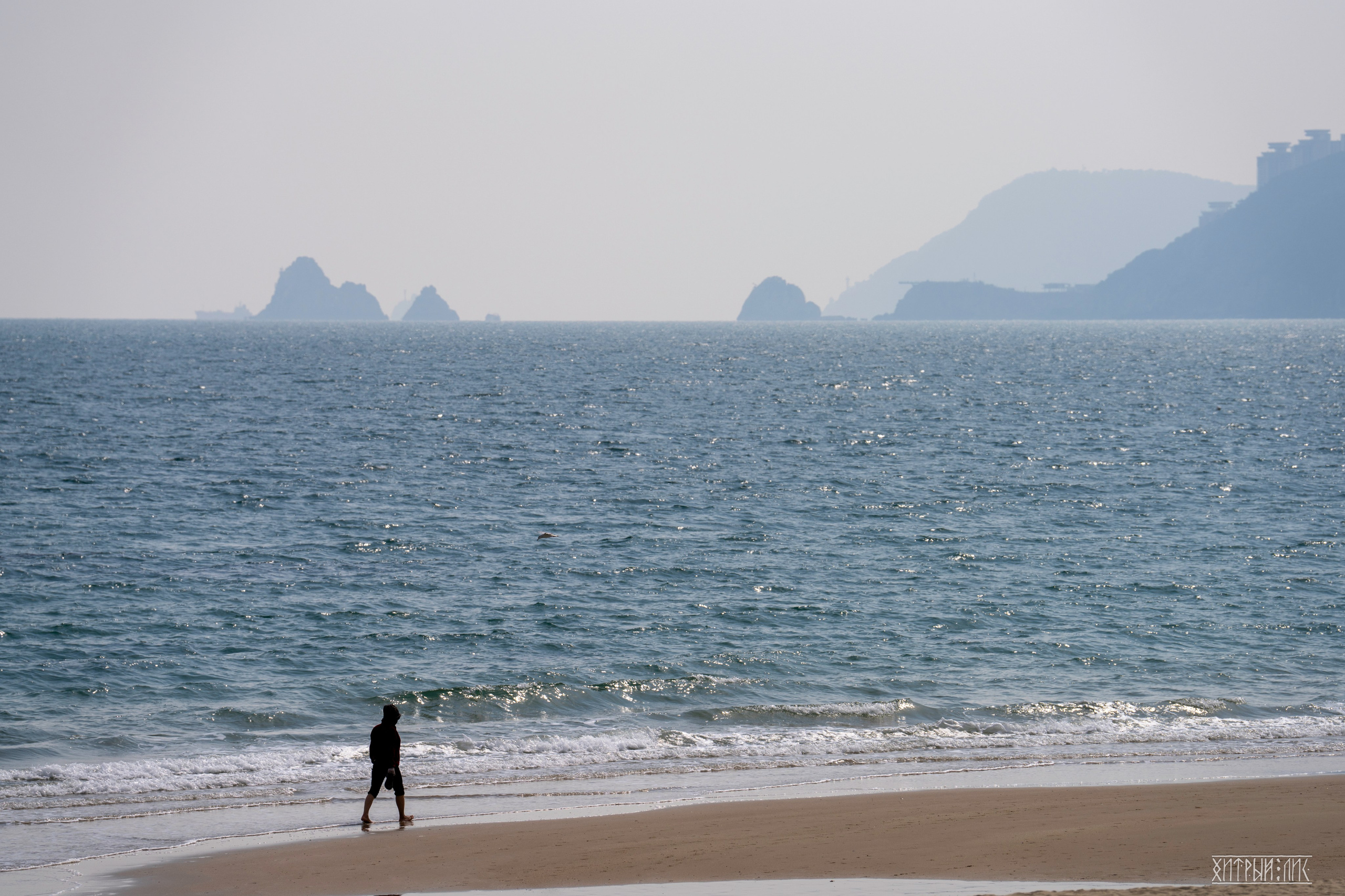 Южная Корея. Фотограф-путешественник Самойлов Максим «Sly Fox»