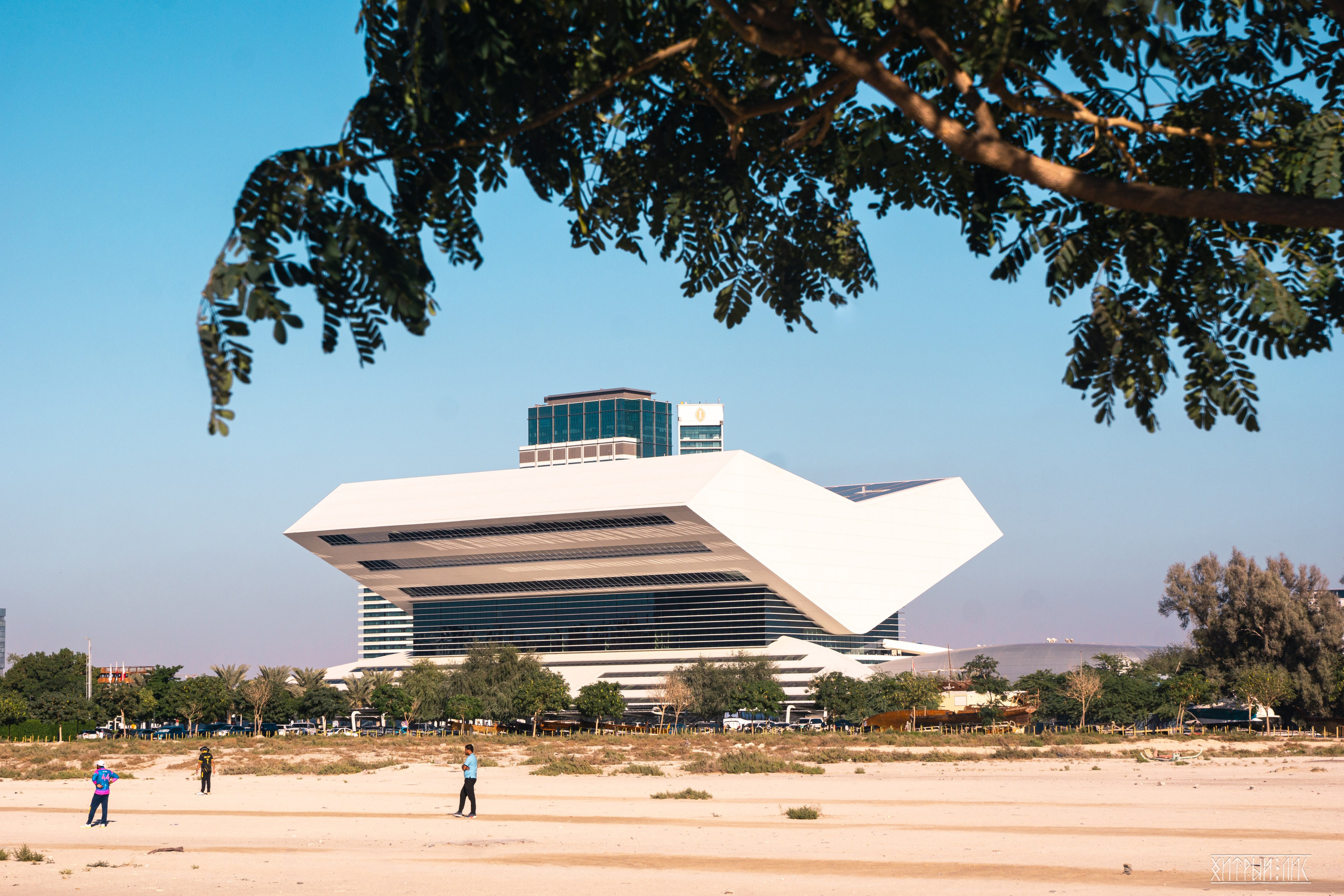 ОАЭ. Фотограф-путешественник Самойлов Максим «Sly Fox»