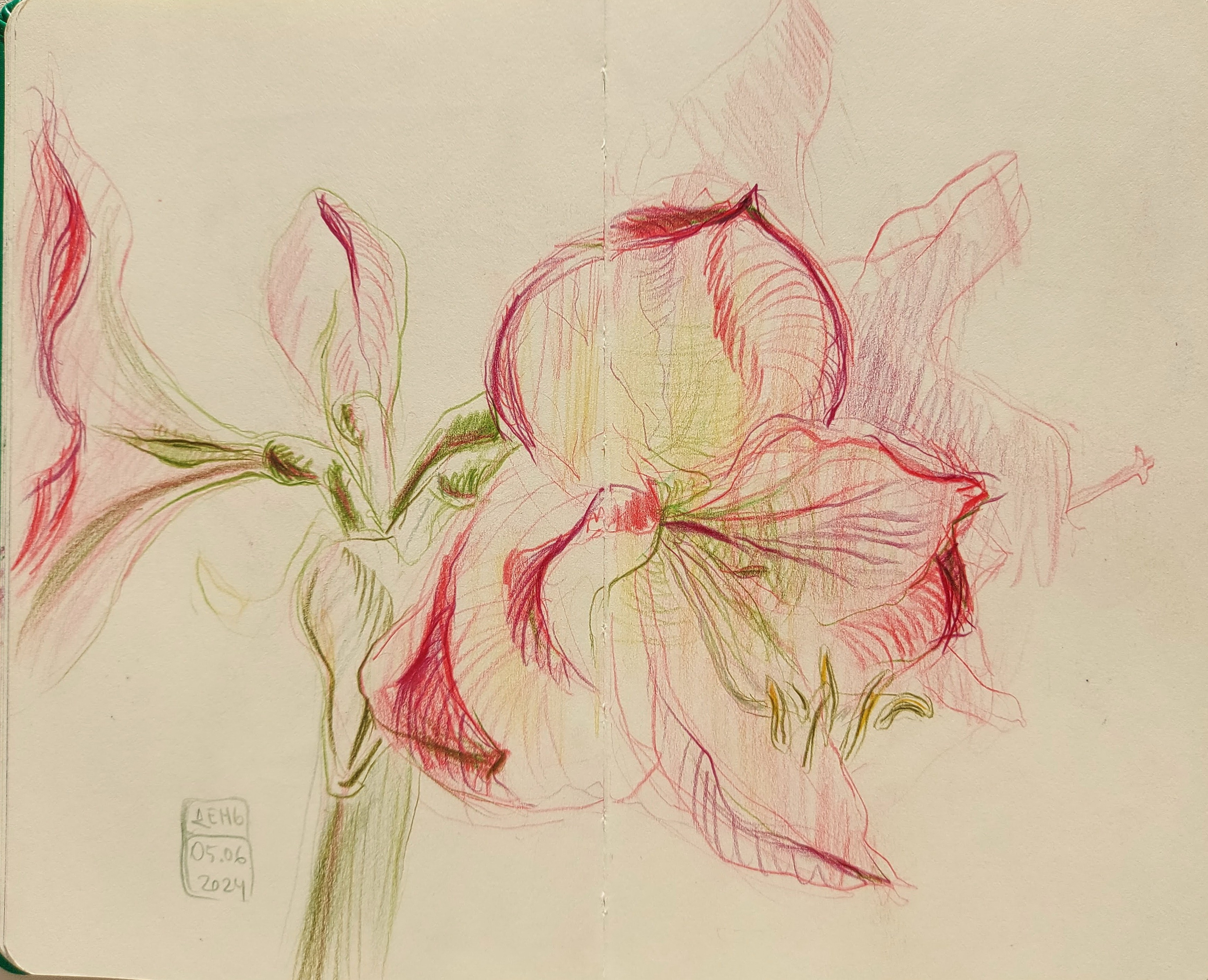 Quick Sketches. Alexander Manaenkov | Watercolor Artist from Siberia