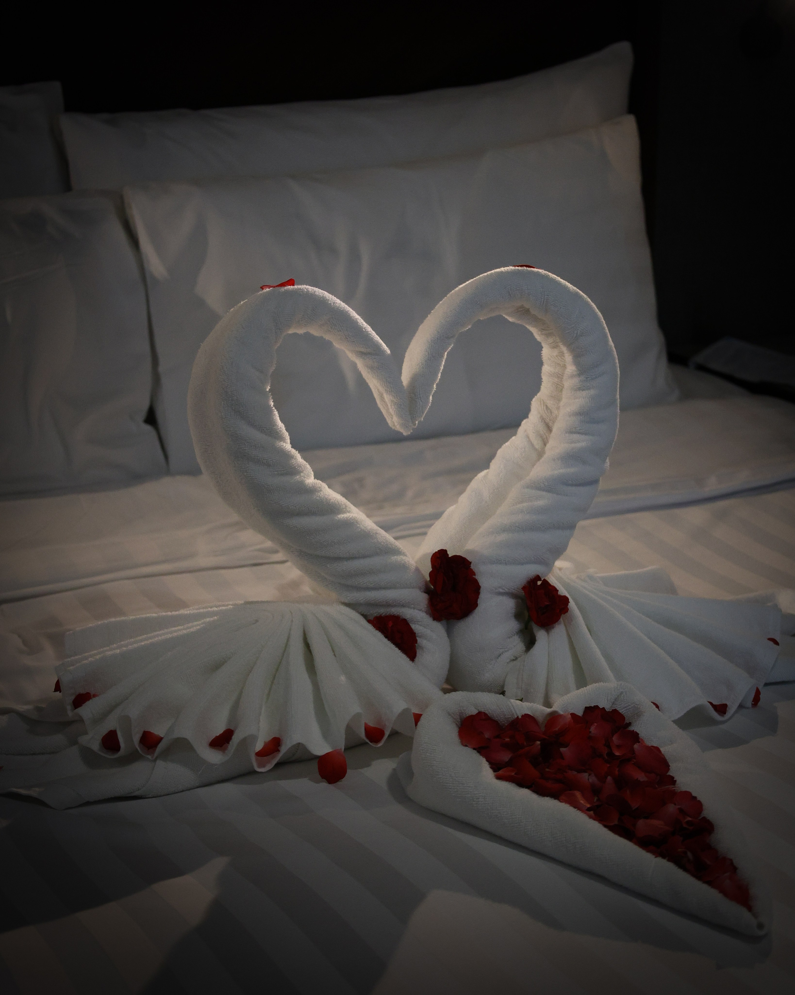 Andrew & Silvia. Nick Krupin — Portrait & Lifestyle Photographer