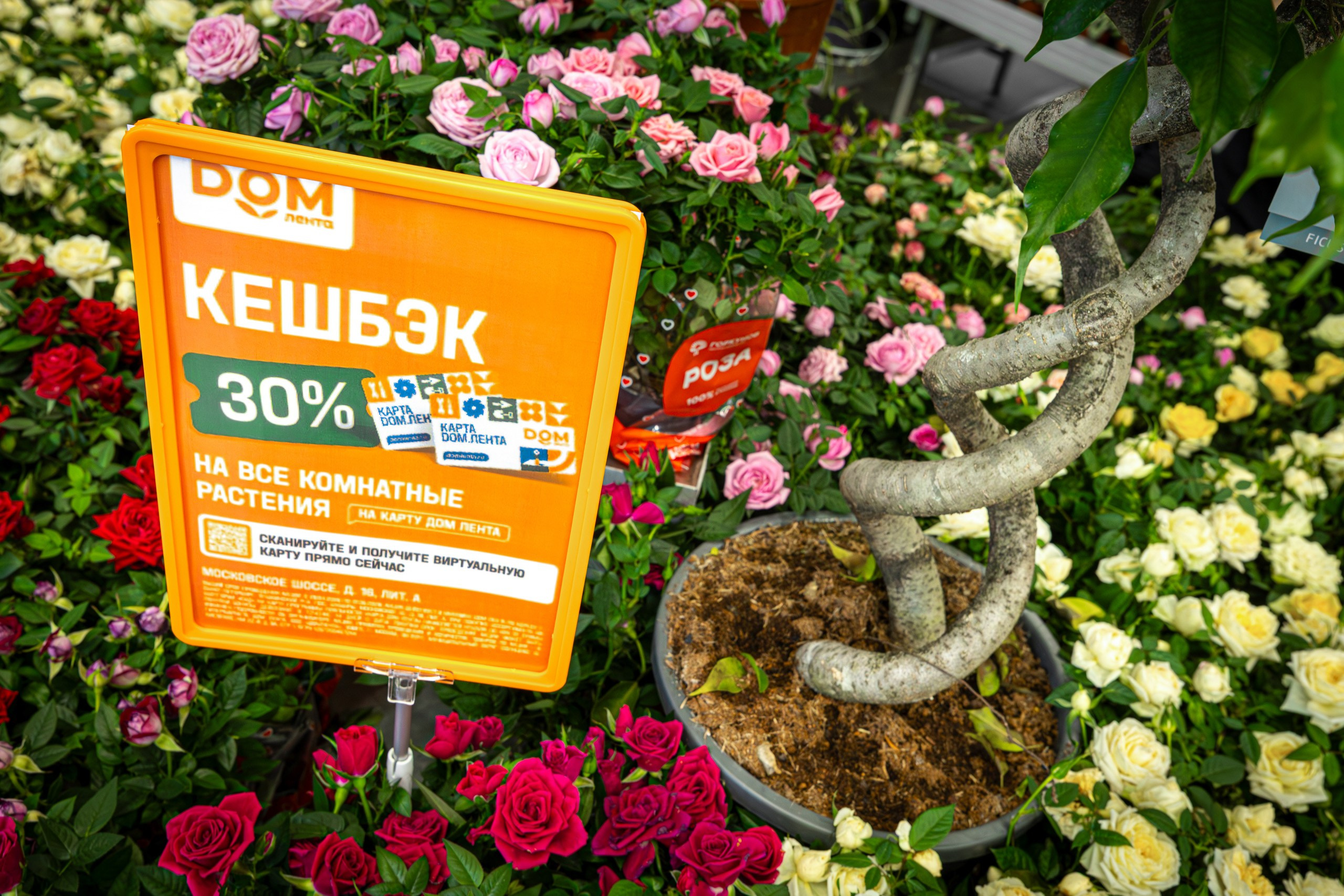 Съёмки для бизнеса. Фотограф в Санкт-Петербурге Денис Топчий