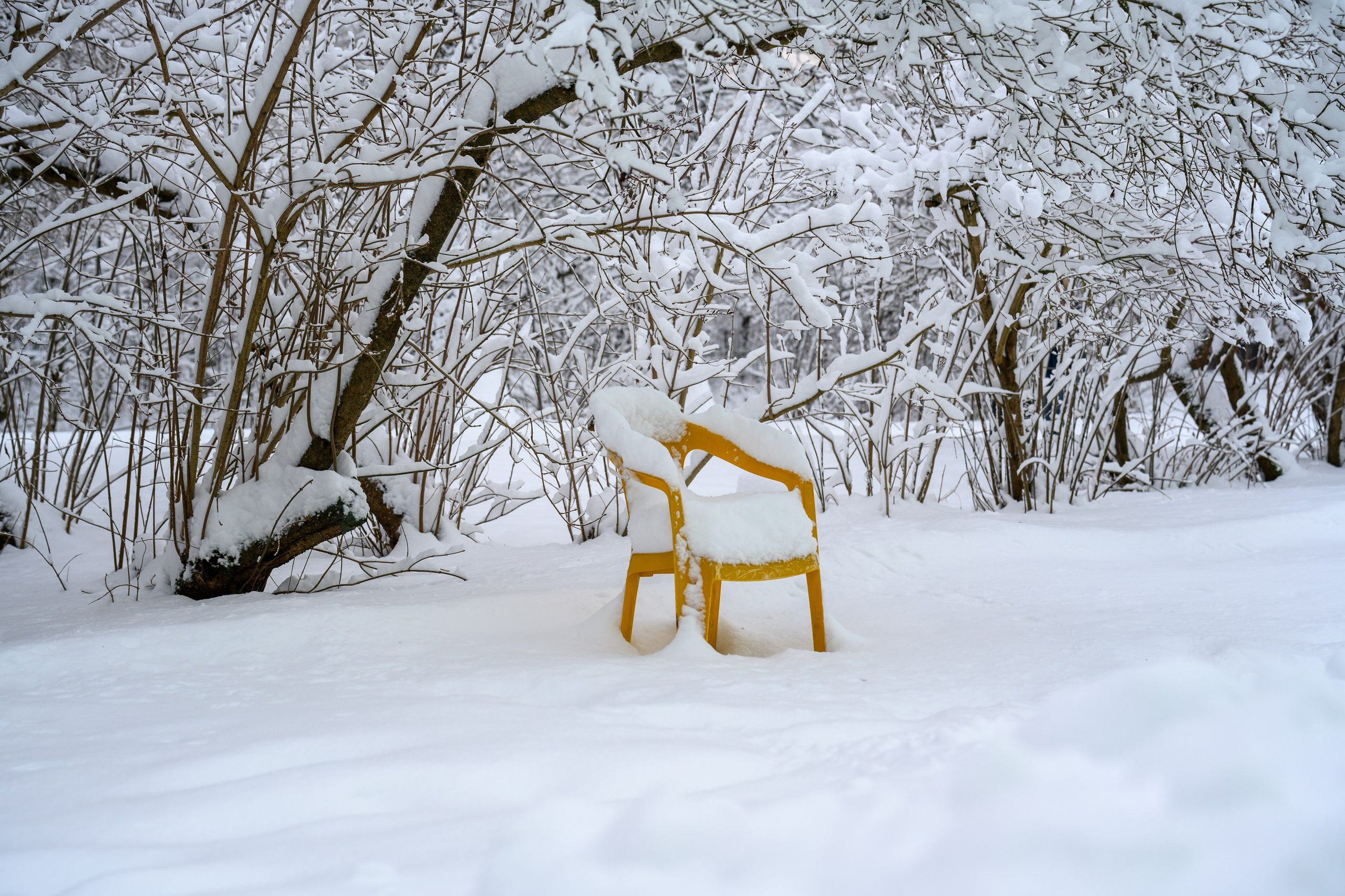 Landscape, nature, plants, details of the world around us. Personal website of photographer Dmitry Raikin