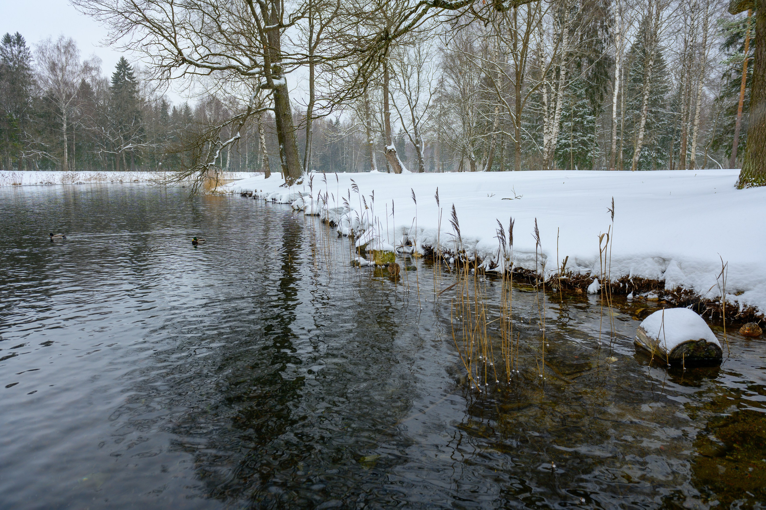 SAINT PETERSBURG | SUBURBS. Personal website of photographer Dmitry Raikin