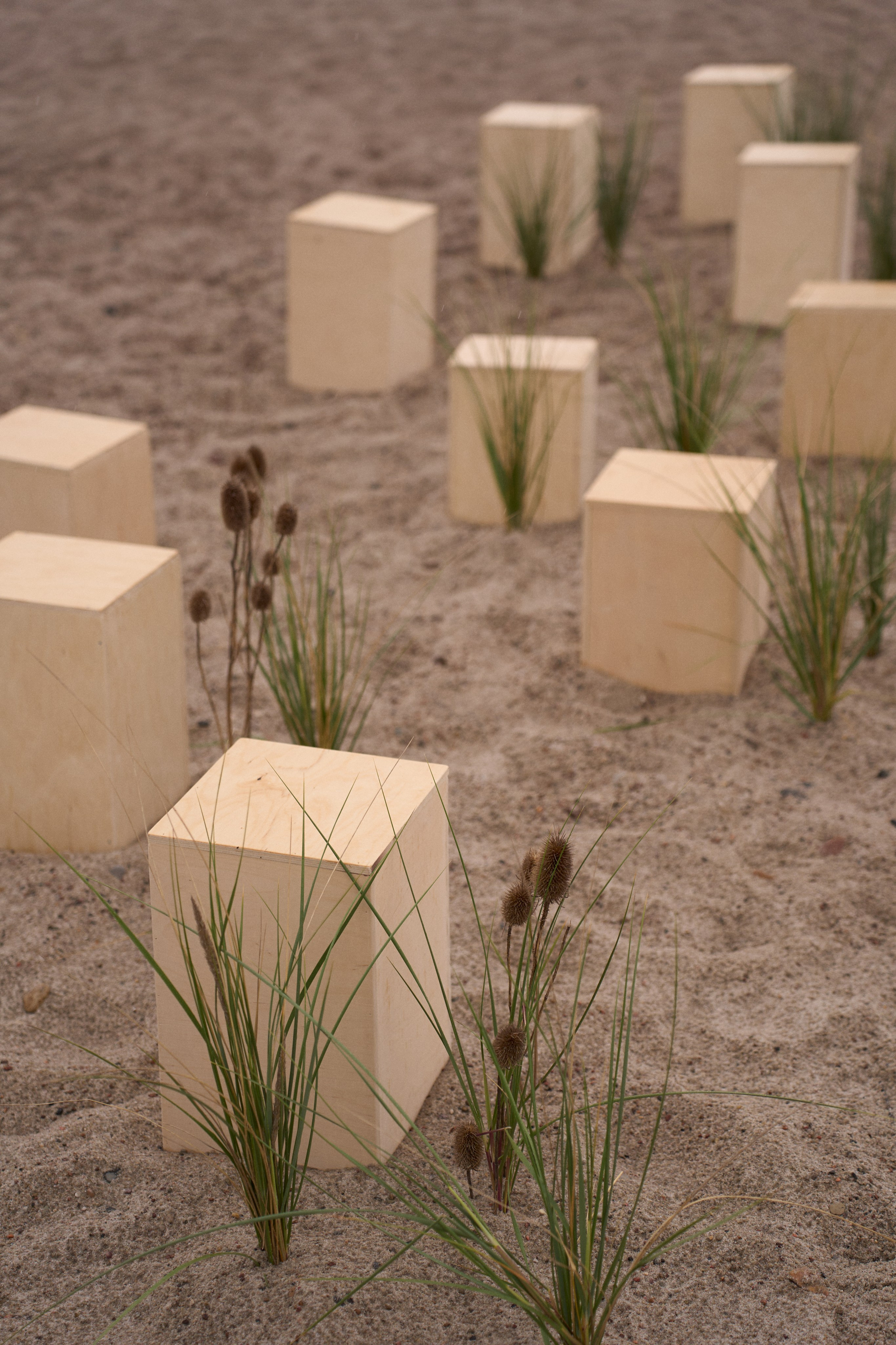 Янтарная свадьба. Калининград. Оформление свадеб, декор свадеб Вера Маркова, Москва