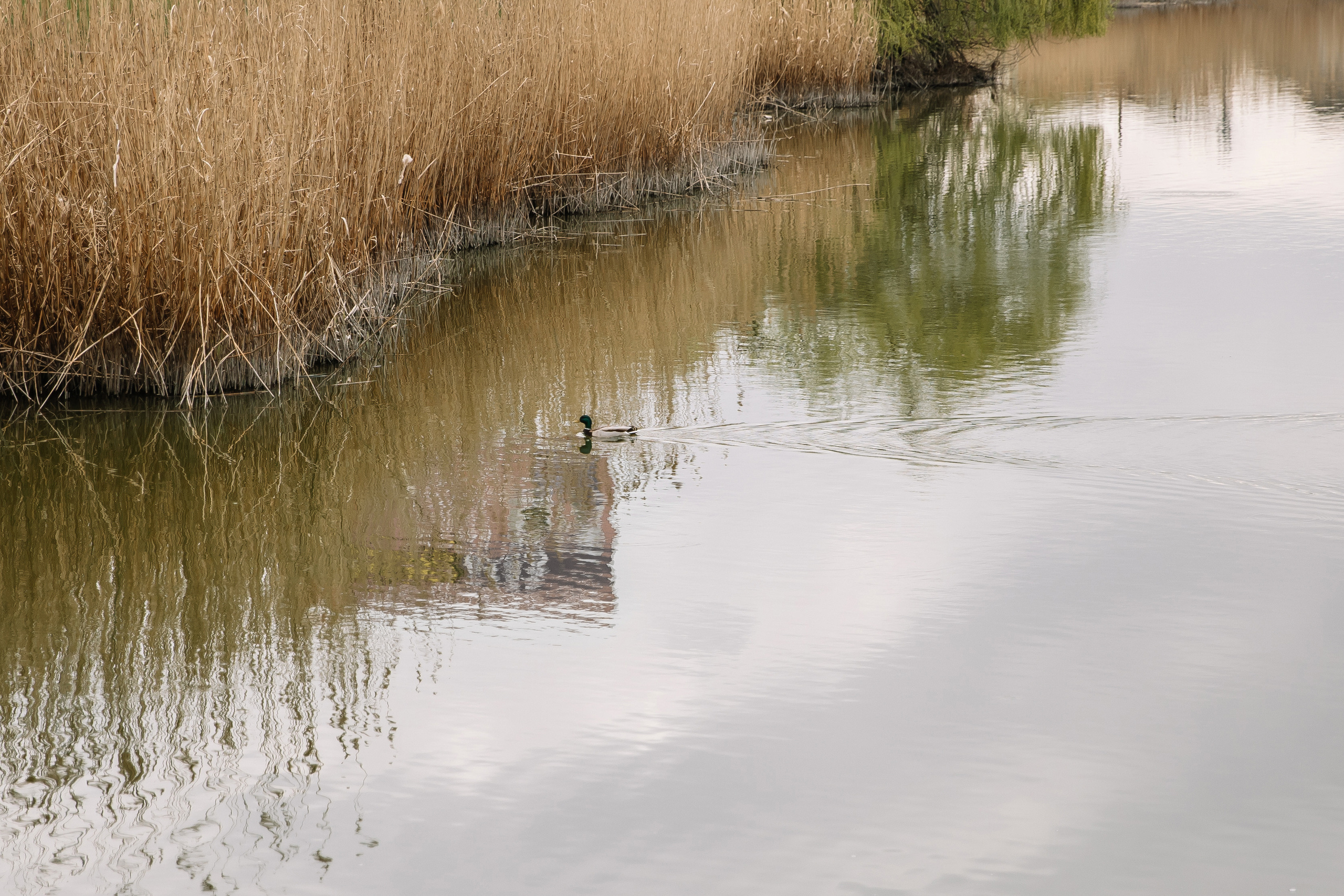 Ivan & Ekaterina. Свадебный фотограф в Краснодаре Татьяна Гура