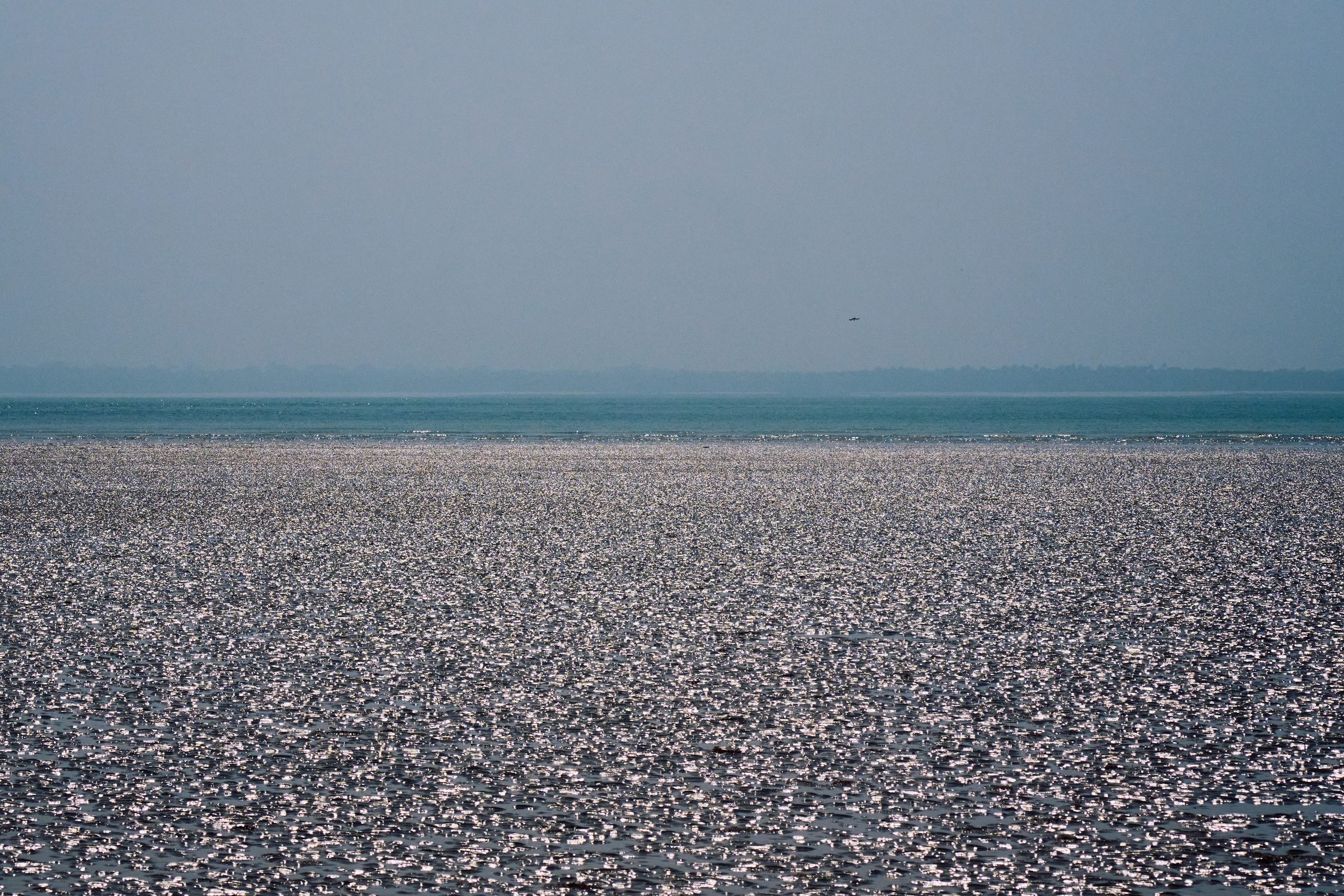 Archipelago Bissagos. See the moment and catche. commercial and reportage