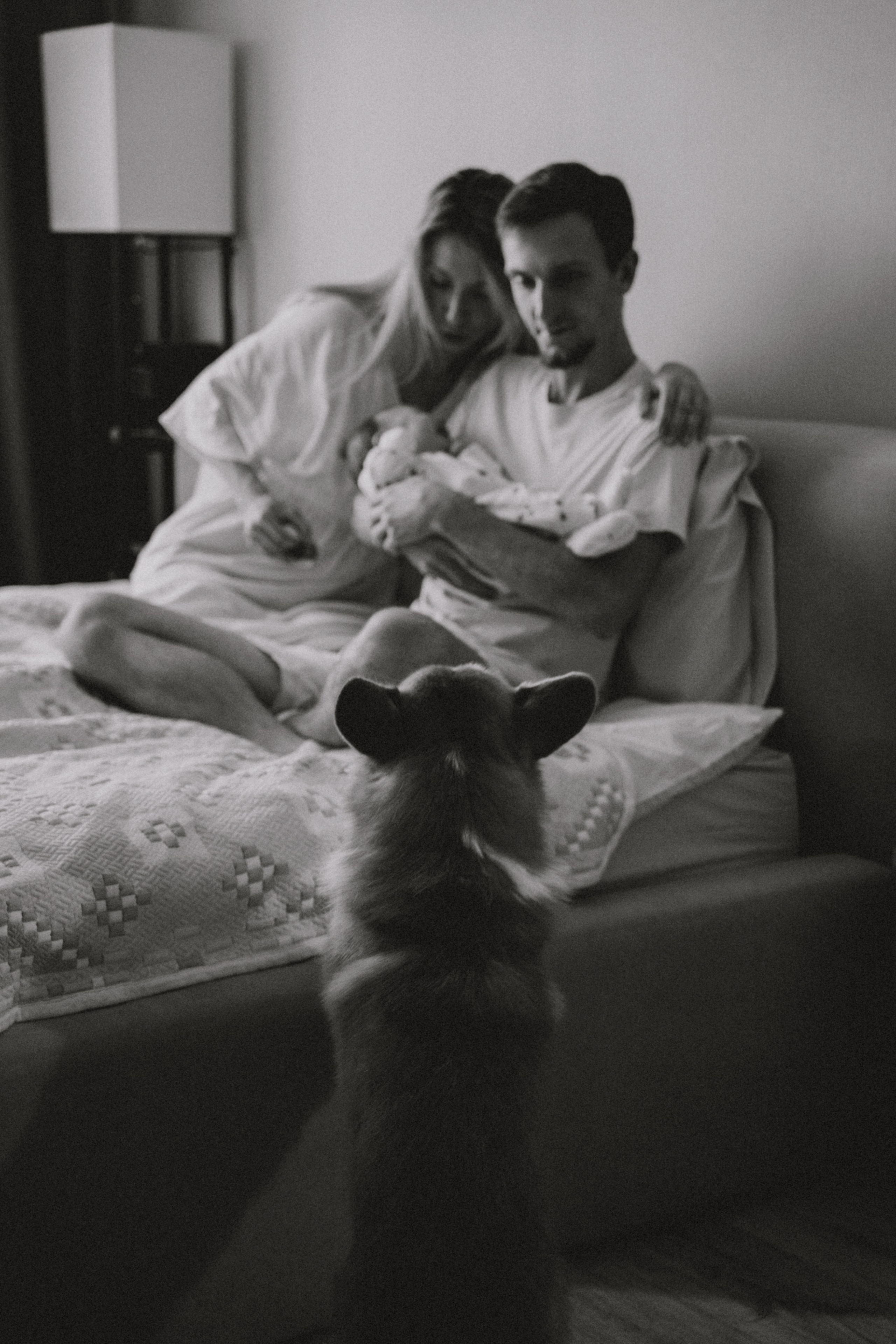 Самая нежность. Свадебный и индивидуальный фотограф в Суворове Клюева Мария