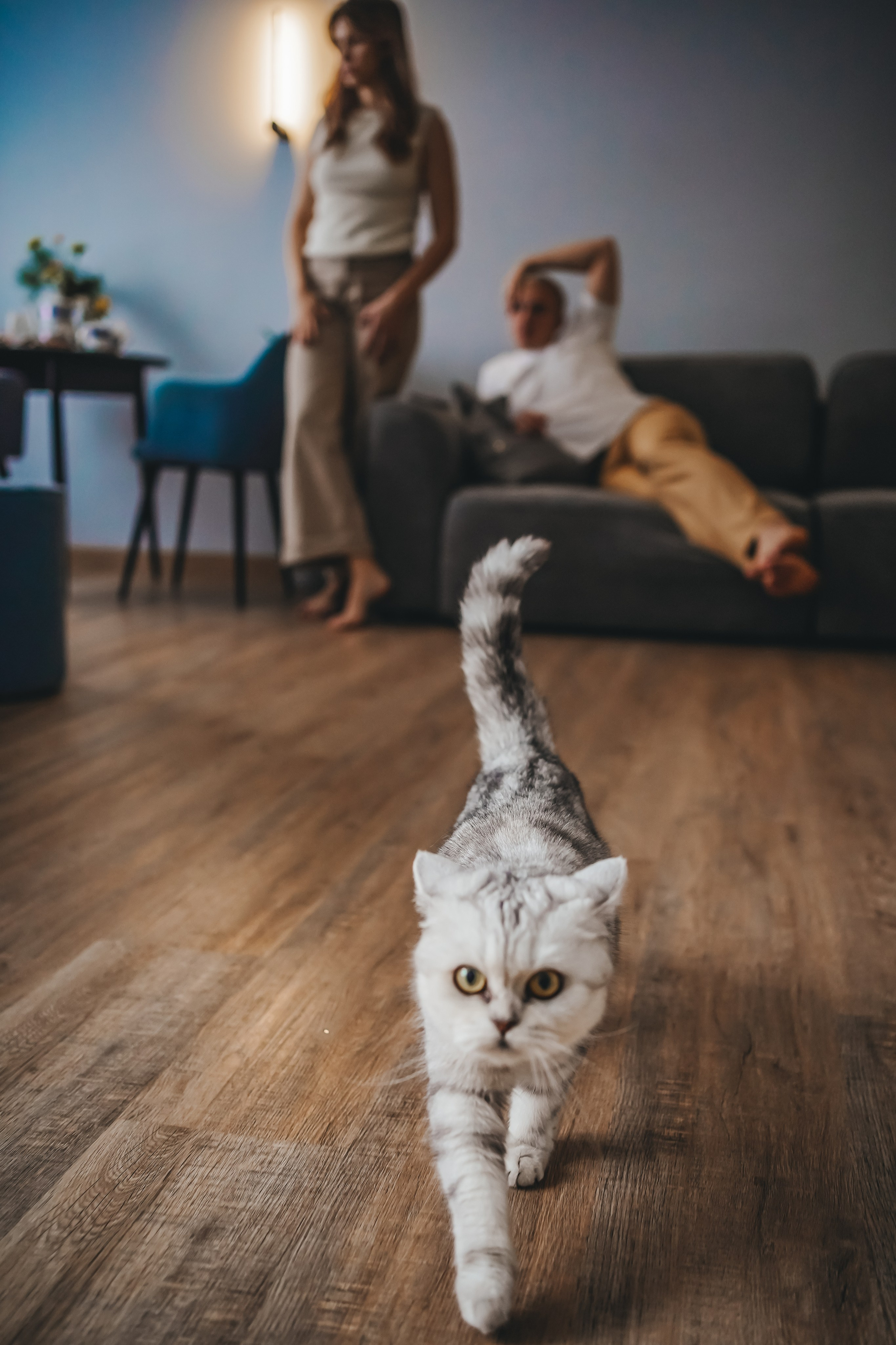 Лера Галактика. Главная