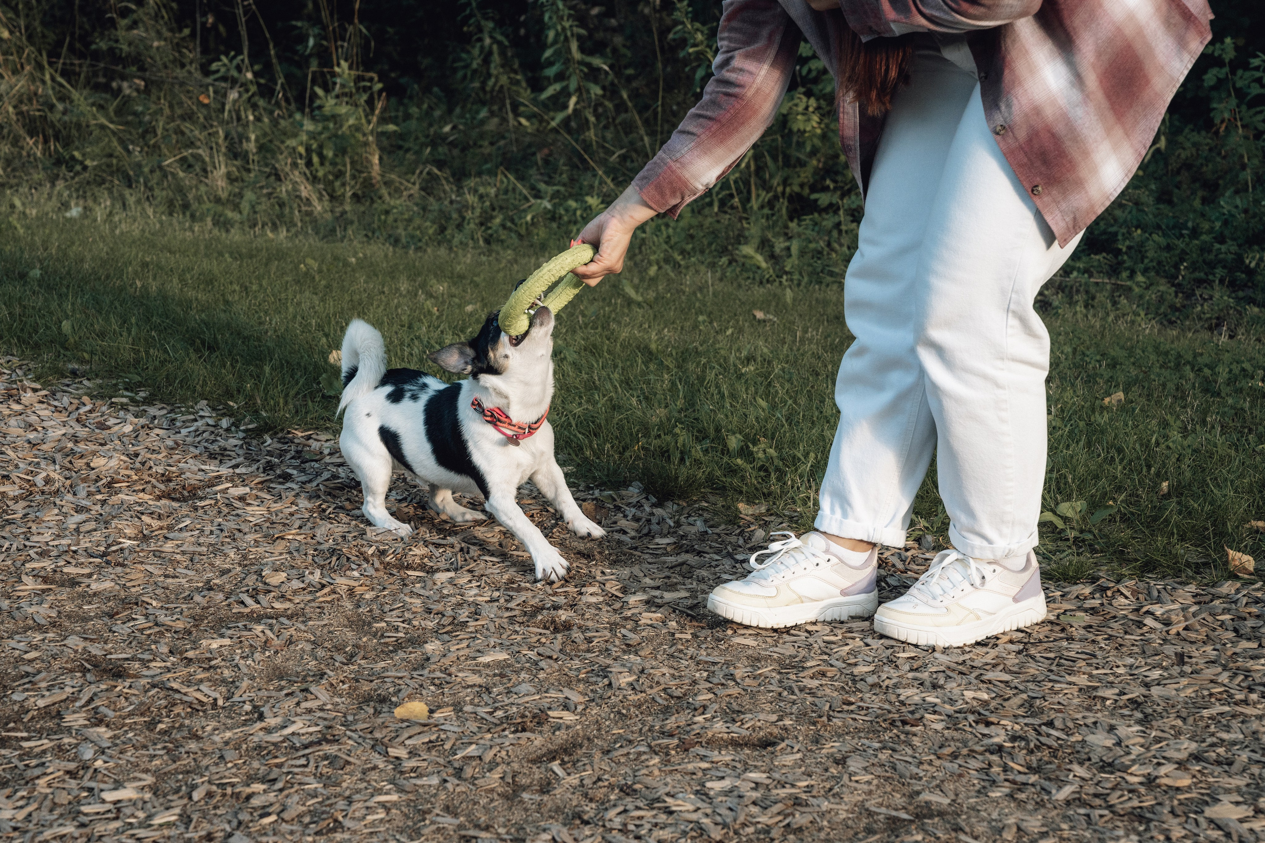 Аня и Луна. Фотограф и видеограф в Тюмени Екатерина Чернецкая
