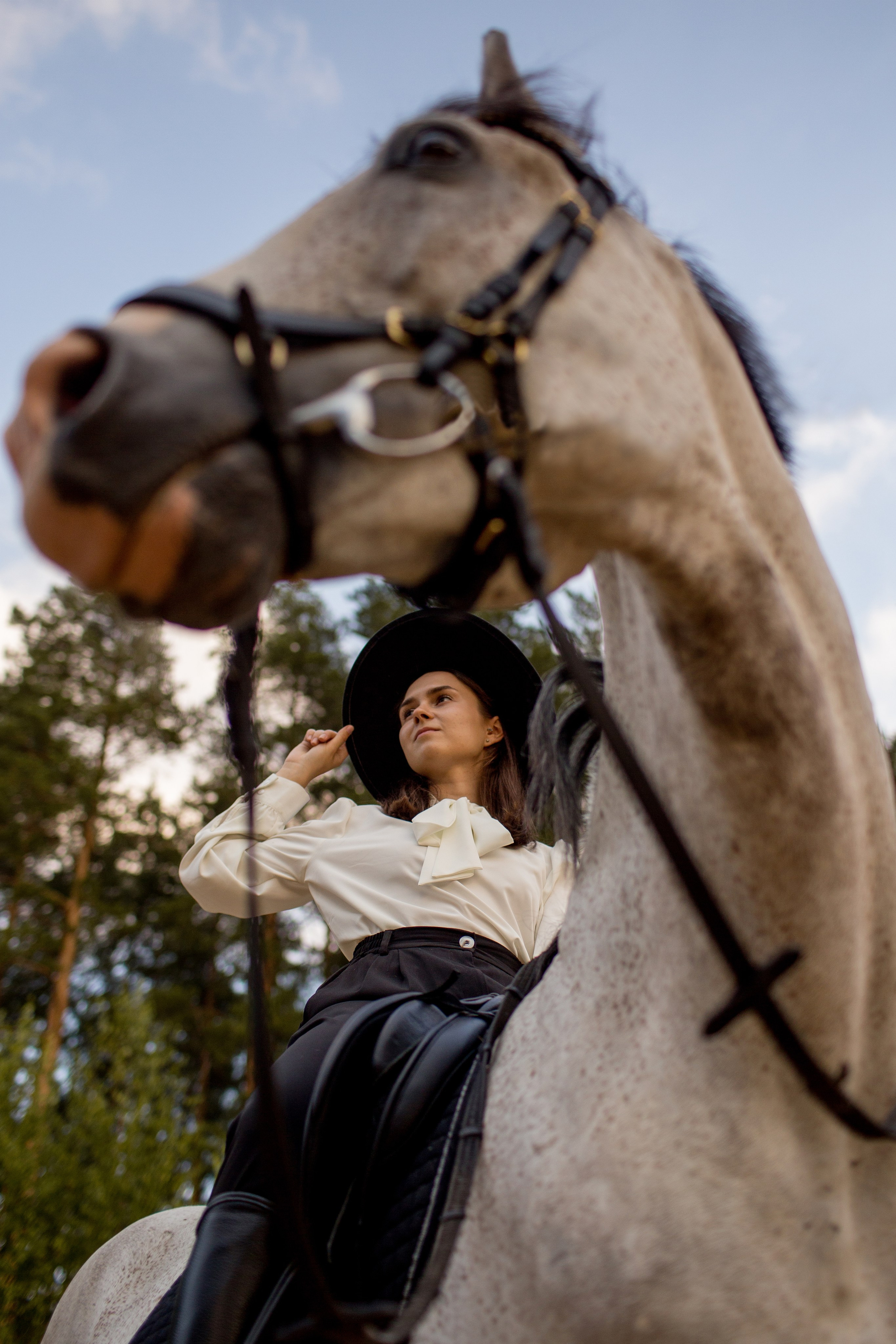 Фотодень с лошадьми в СПб