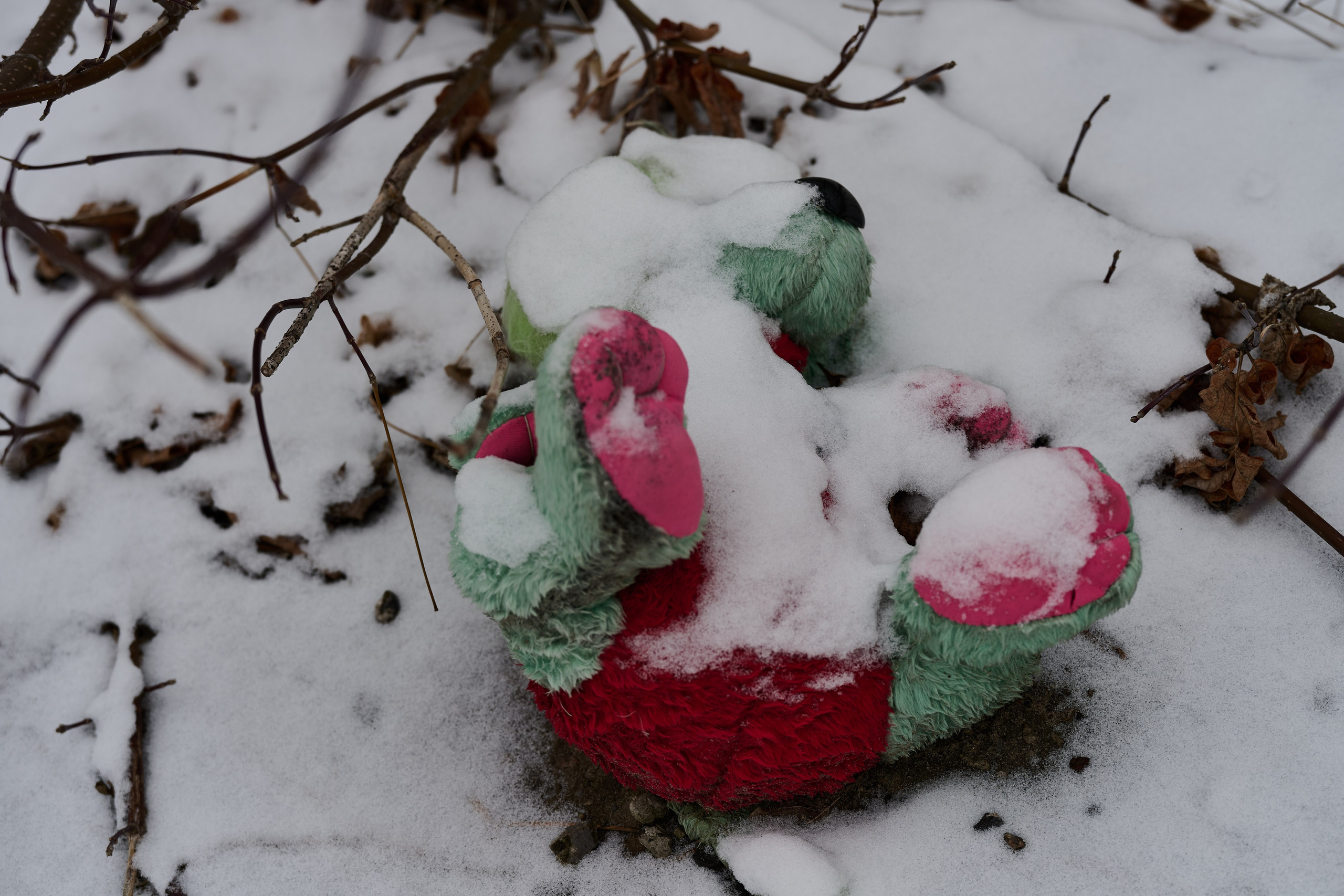 Рубежное. Луганская область. Фотопроект «Территории»