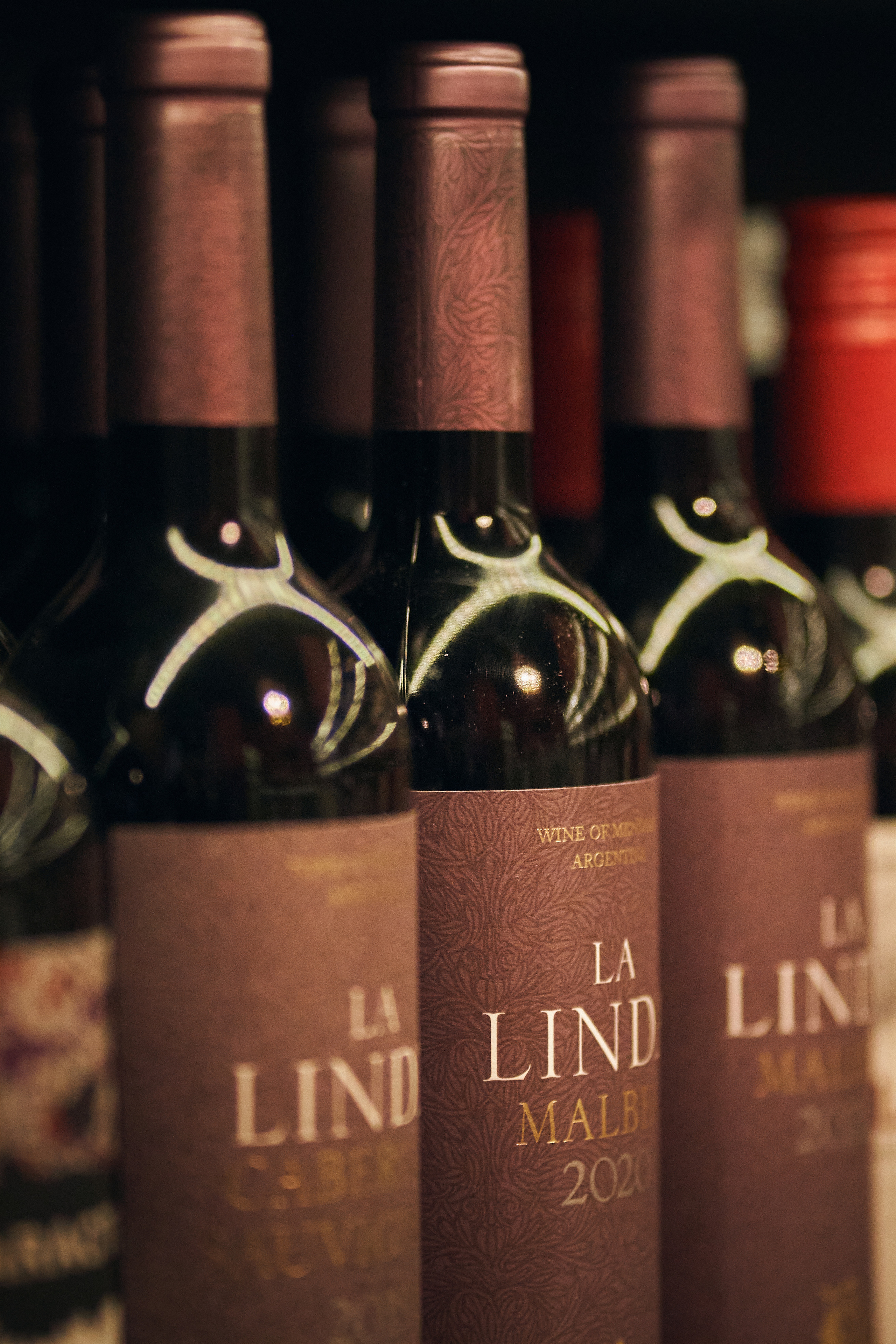 Винотека Barrica. Фотография для бизнеса, экспертов и контент съемка