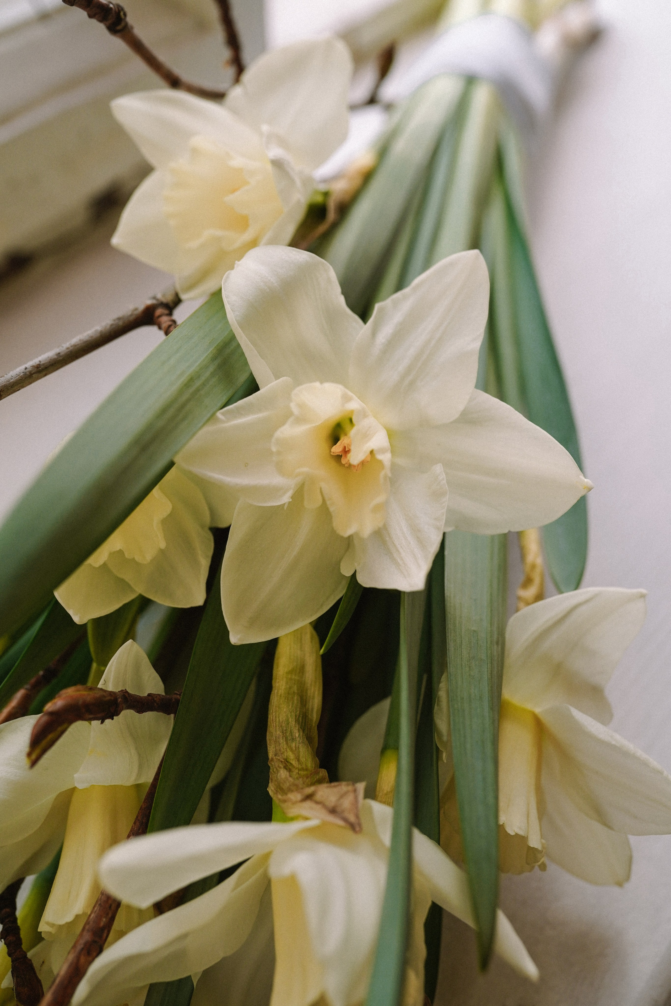 Эрнест & Аня. Оформление свадеб, декор свадеб Вера Маркова, Москва