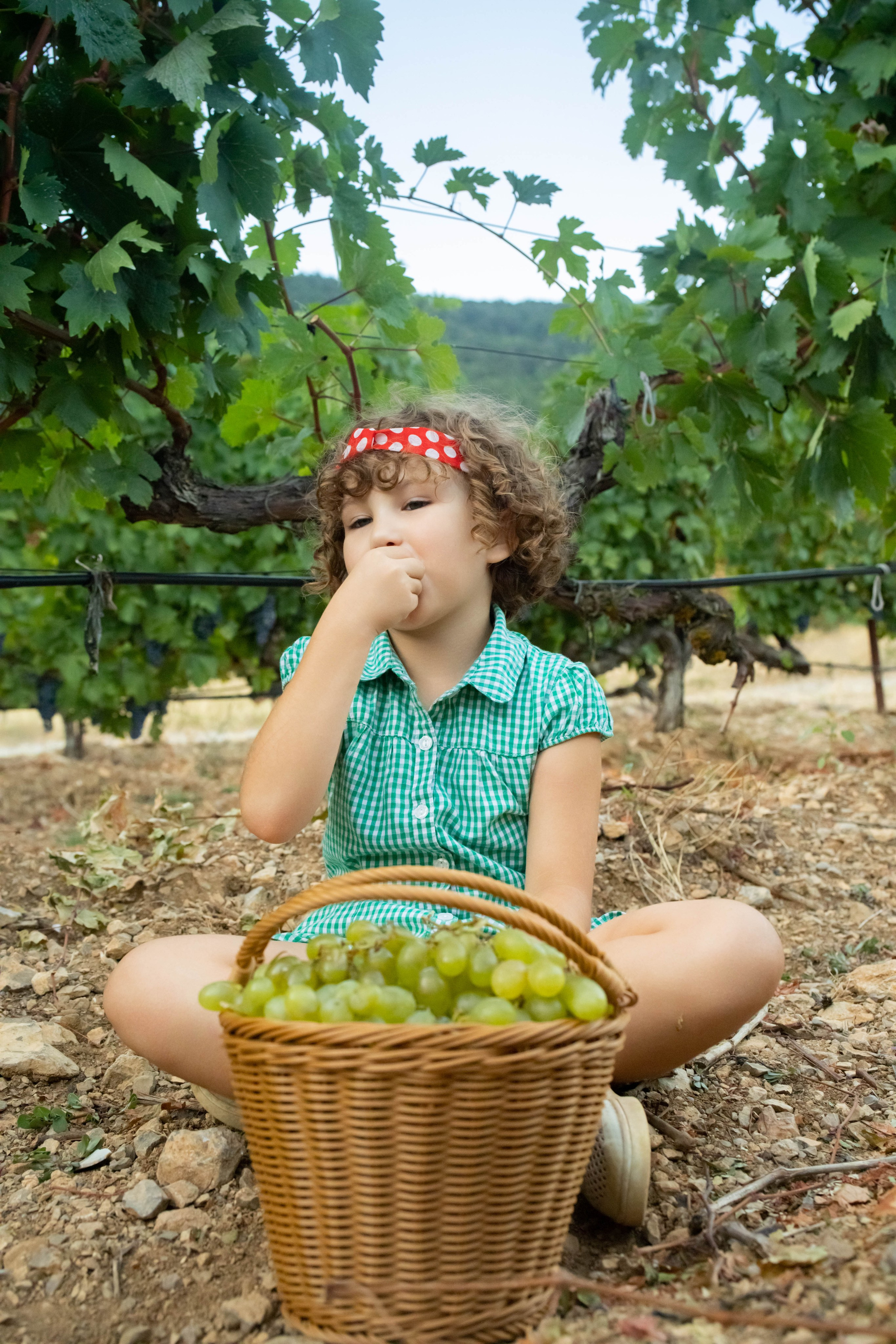 Фотосессия семейная «Виноградники». Фотограф в Крыму Татьяна Барицкая ЕНОТИКА