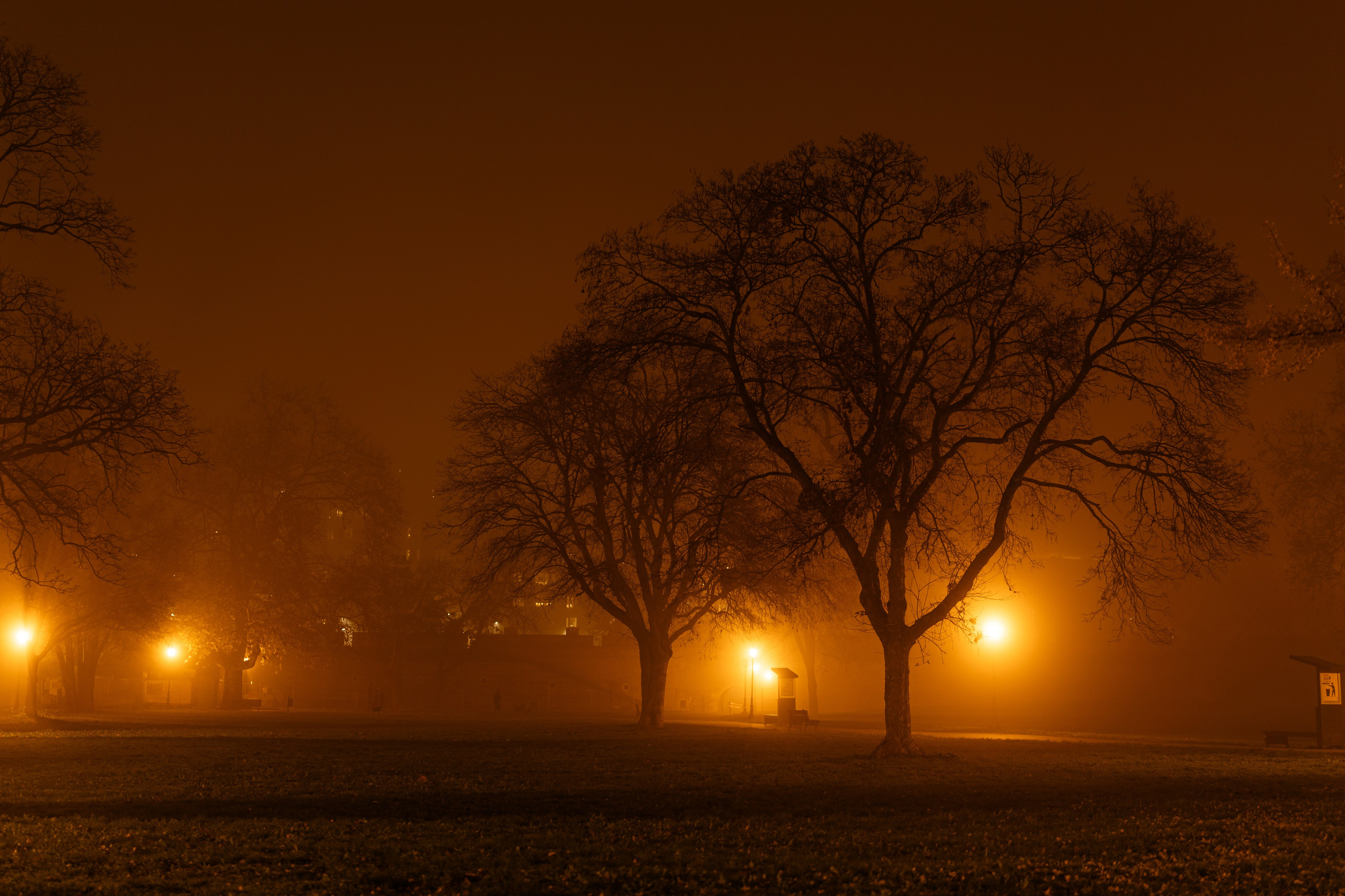 FOGGY EVENING RUNNING. Marina Vasileva — Photographer in Belgrade | Portraits, Events & Brands