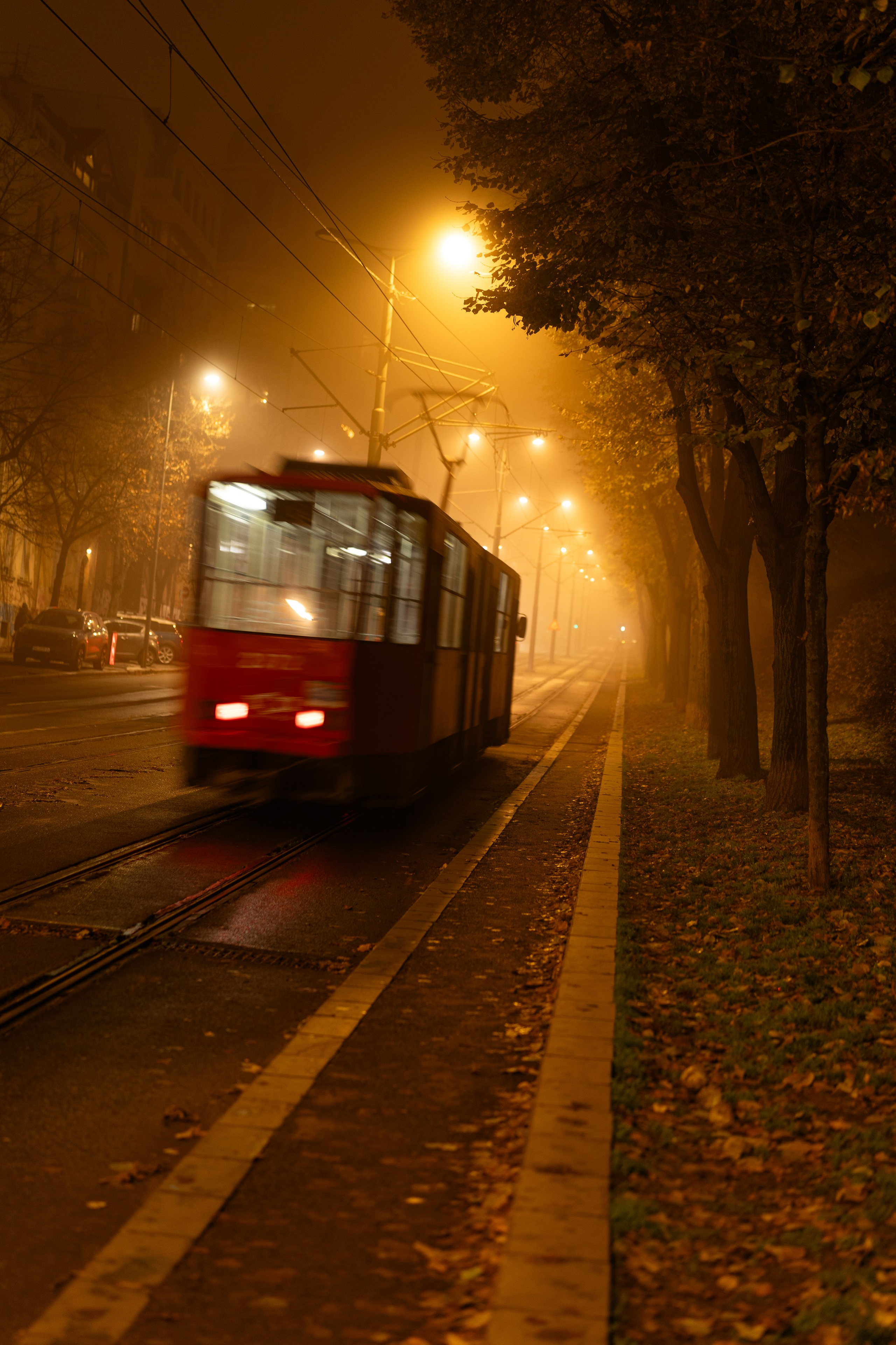 FOGGY EVENING RUNNING. Marina Vasileva — Photographer in Belgrade | Portraits, Events & Brands
