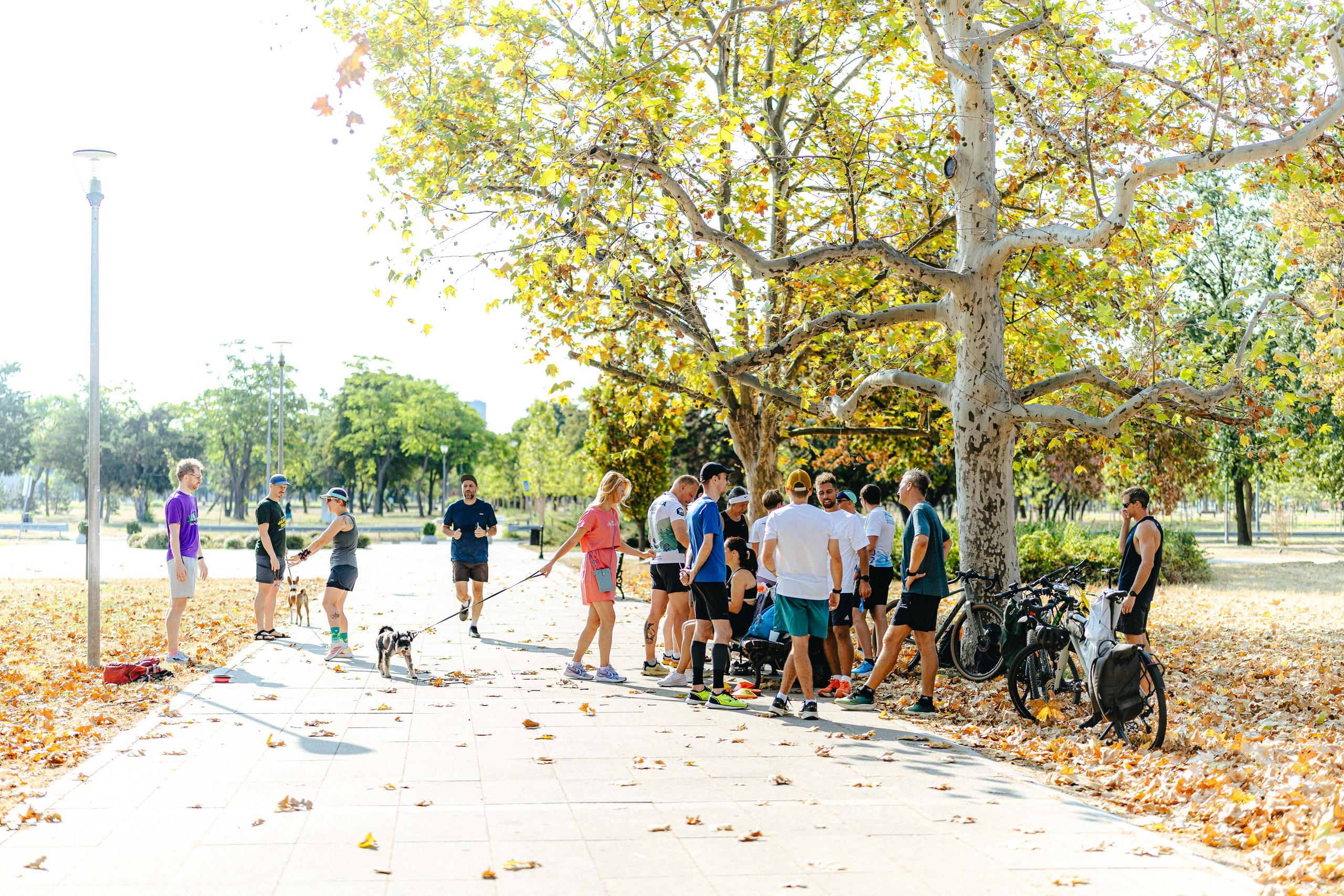 A large group of runners from the S95 community gathering, chatting, and relaxing under trees after finishing the 5k run in Belgrade, with parked bicycles nearby.