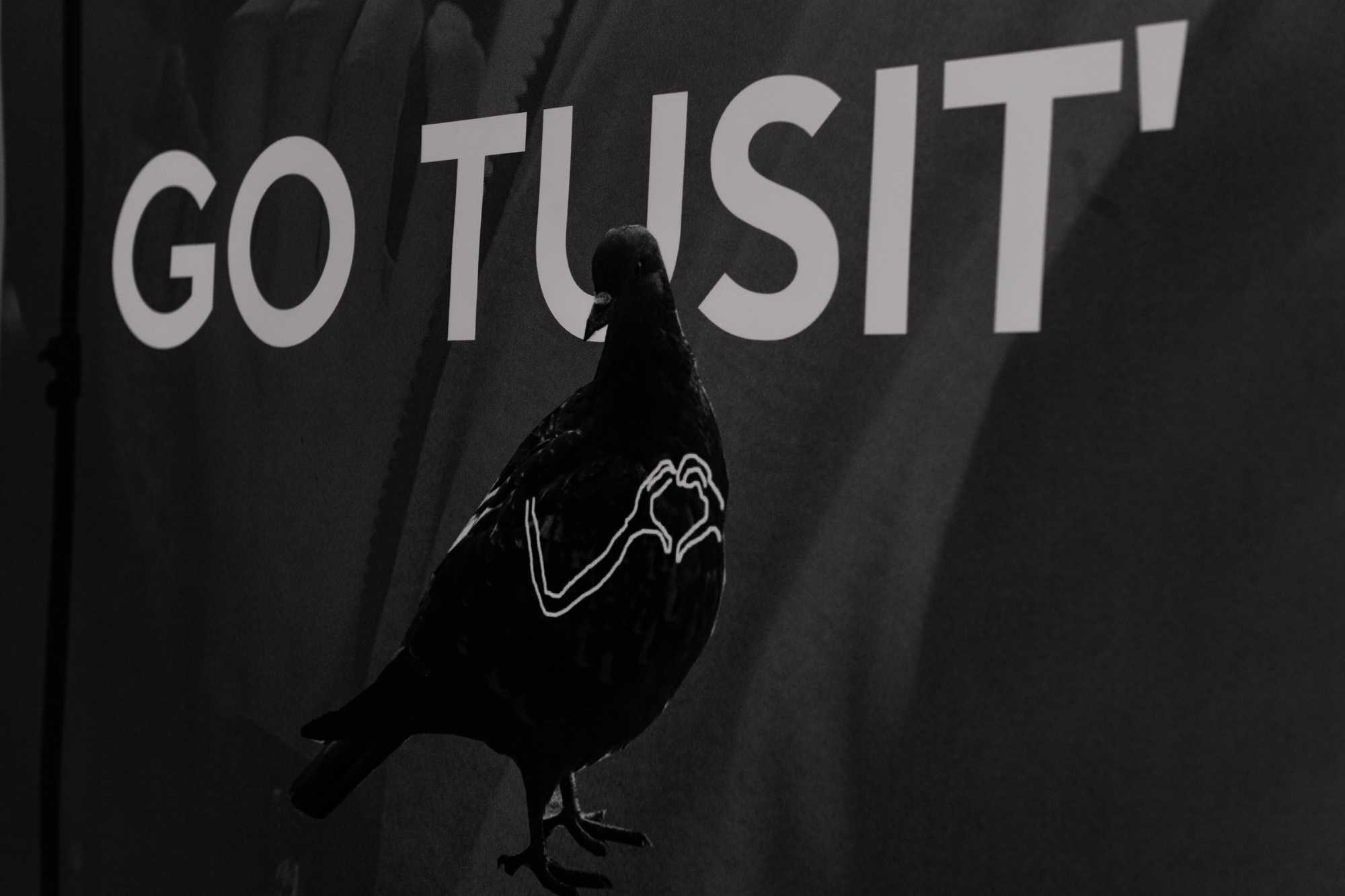 Go tusit'. Алина Посторонка