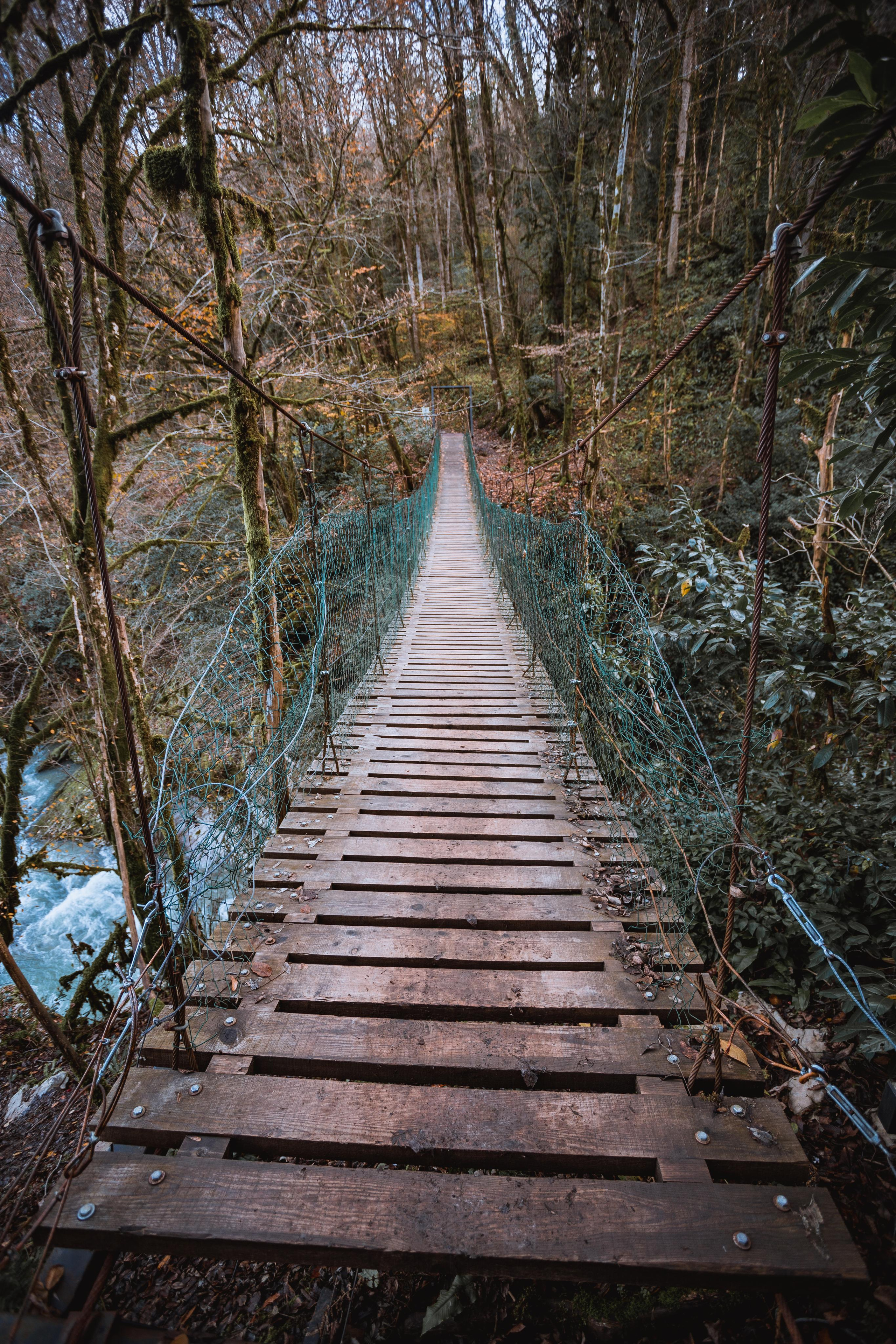 Тисо-самшитовая роща. Photographer Sonkina Tatiana (Tanya Ash)