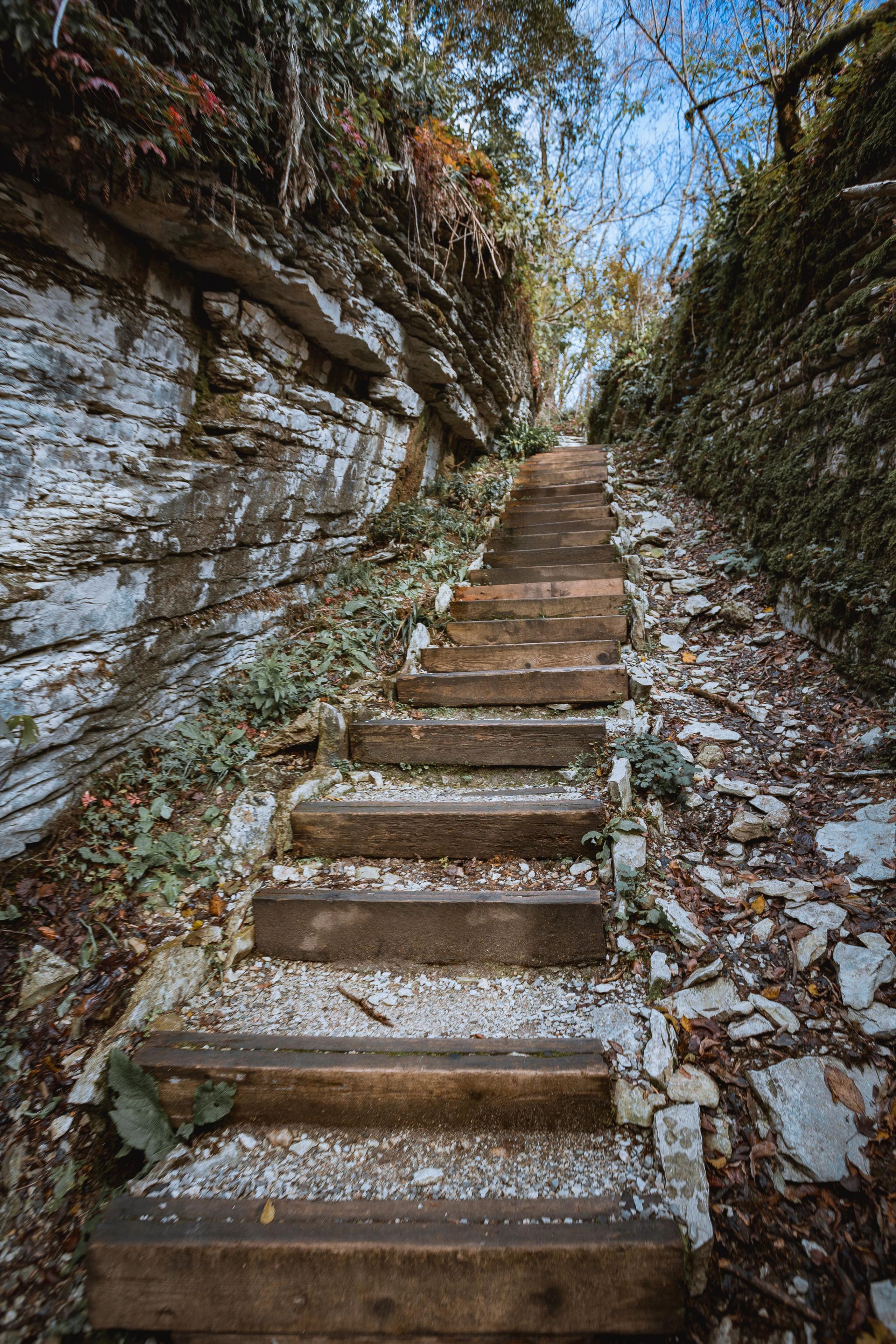 Тисо-самшитовая роща. Photographer Sonkina Tatiana (Tanya Ash)