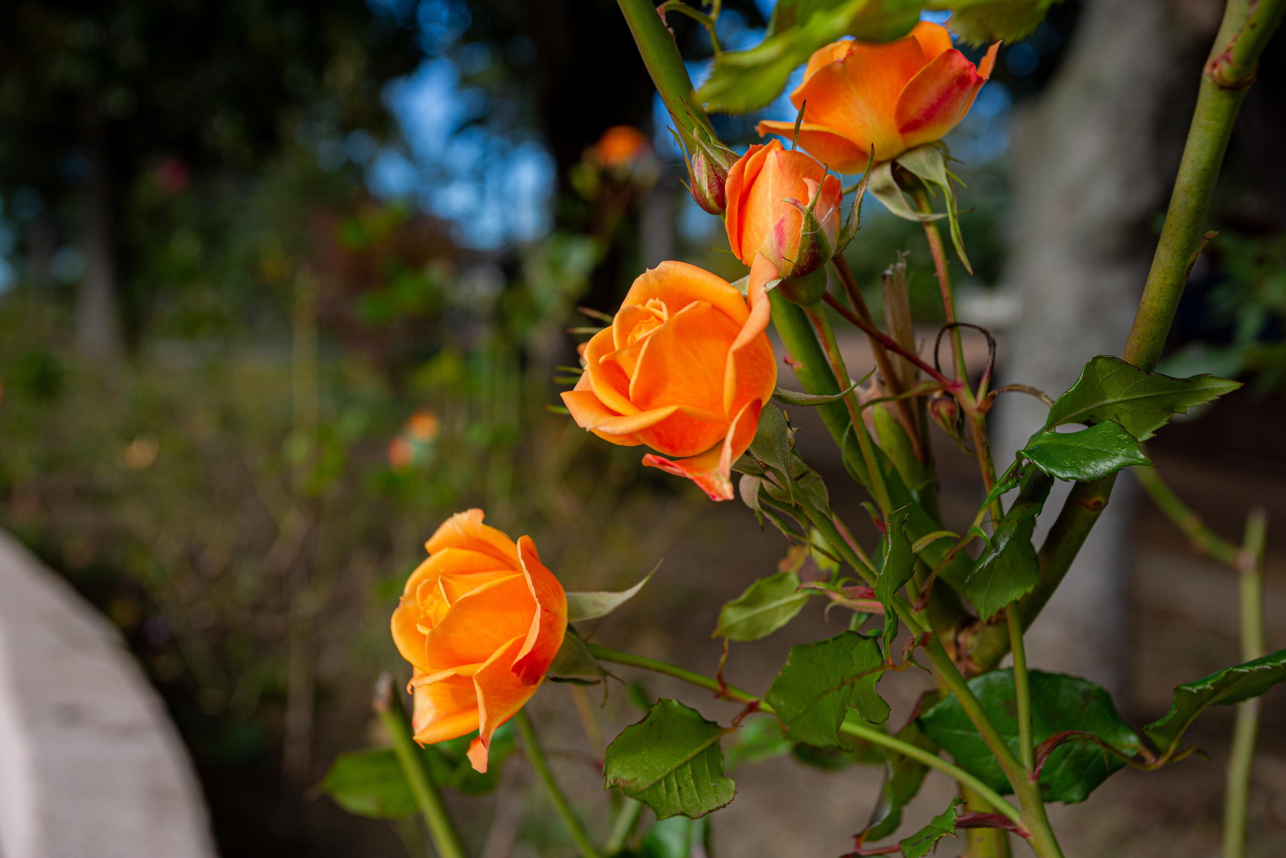 Туапсе. Photographer Sonkina Tatiana (Tanya Ash)