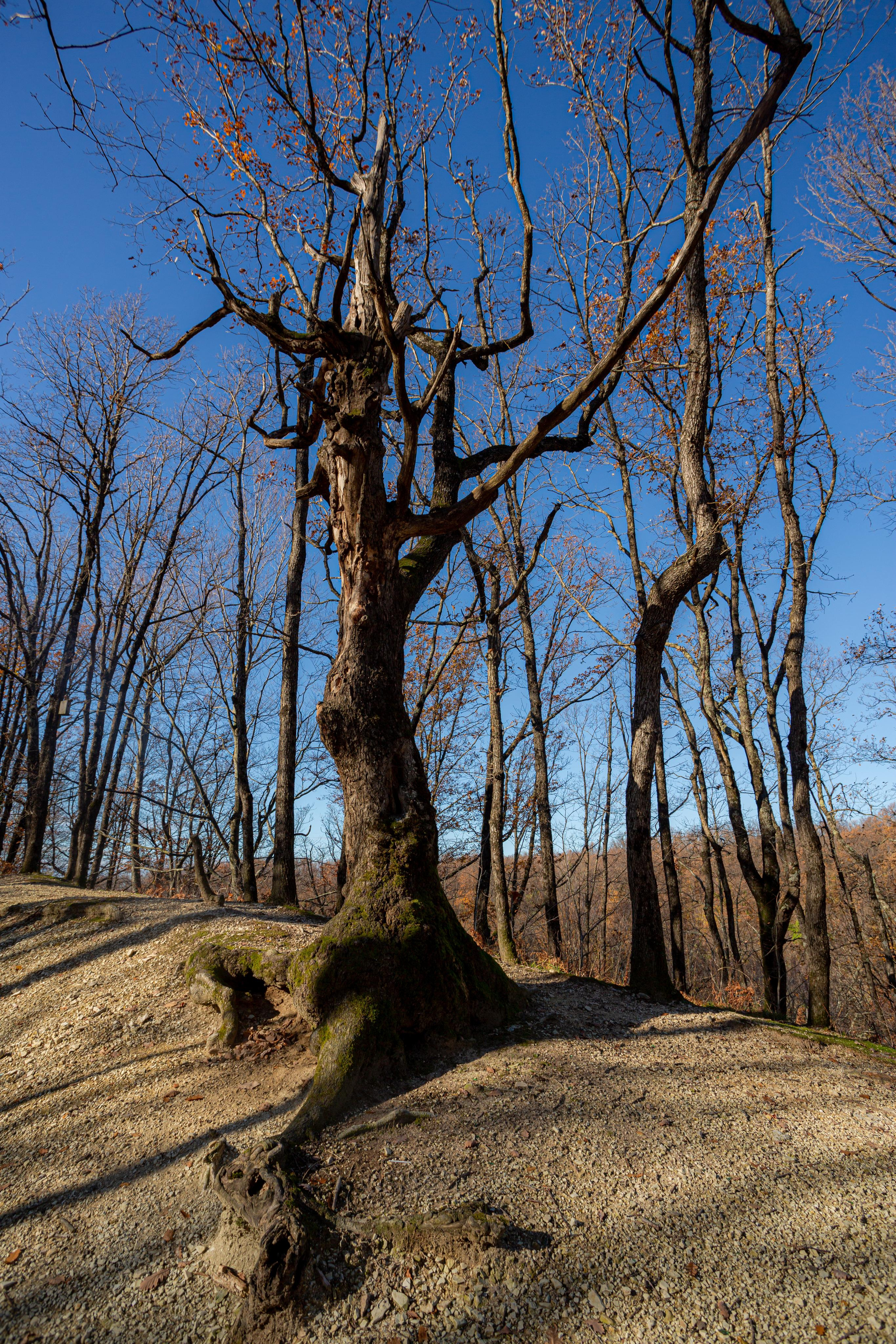 Туапсе. Photographer Sonkina Tatiana (Tanya Ash)