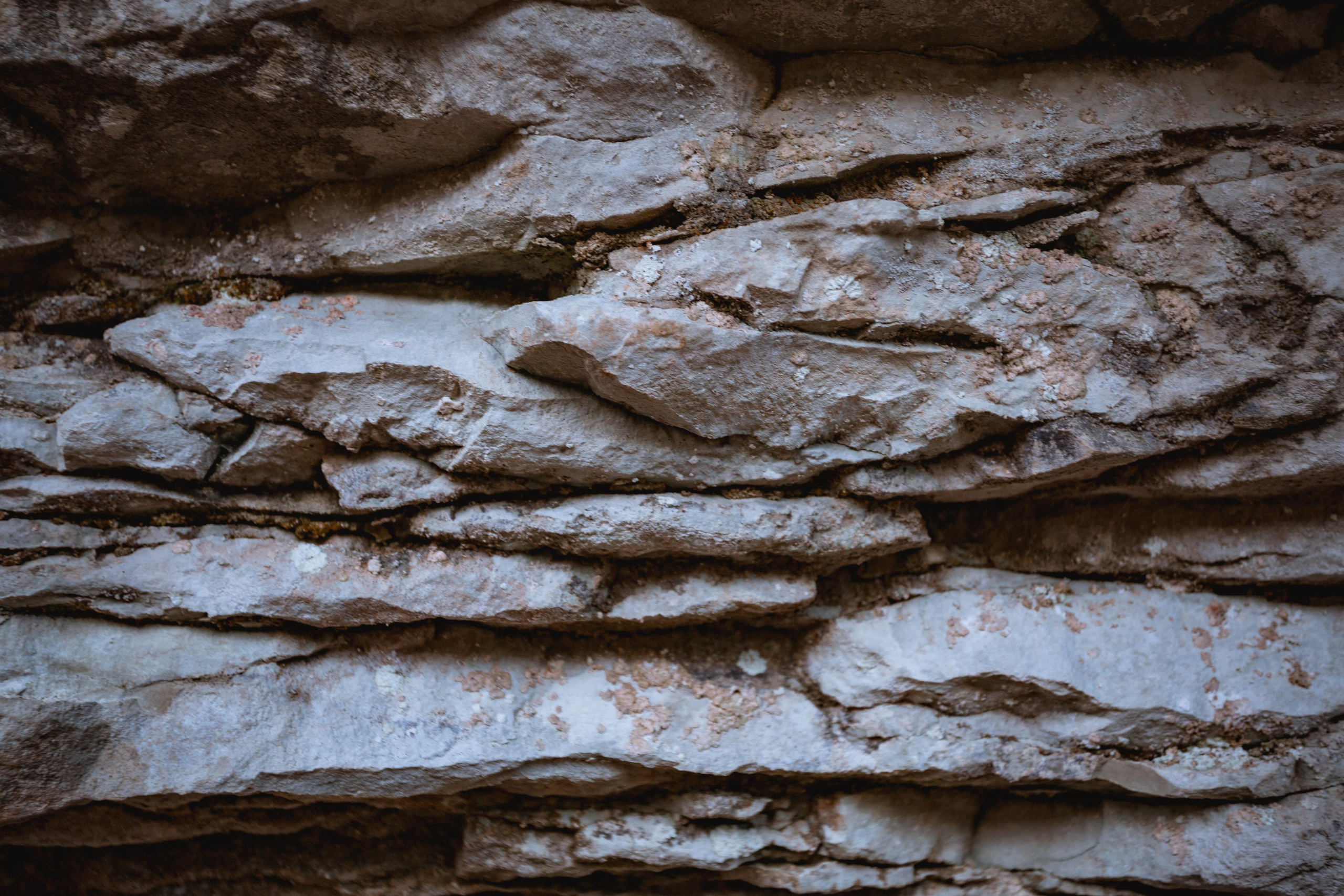 Тисо-самшитовая роща. Photographer Sonkina Tatiana (Tanya Ash)