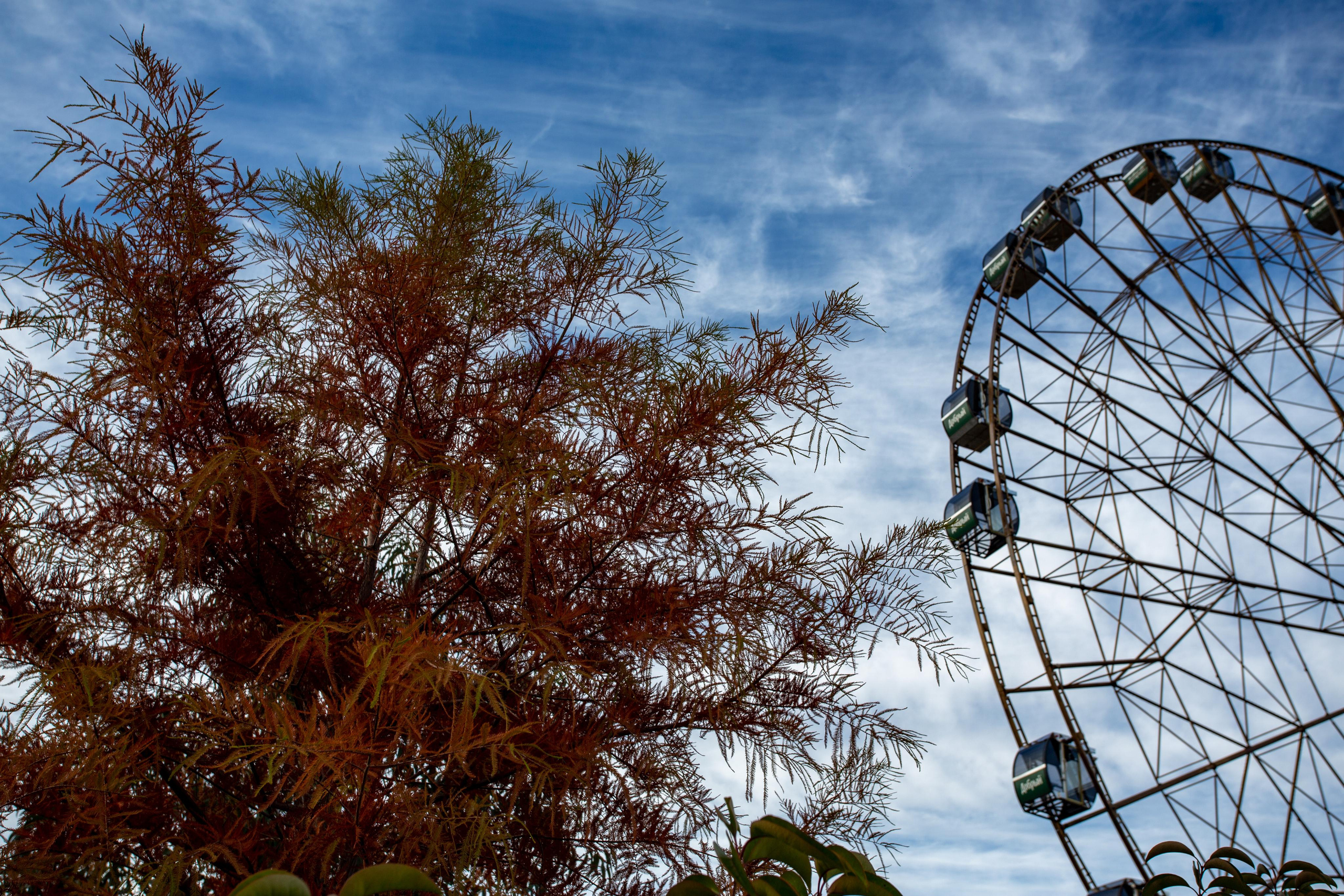 Адлер. Фотограф Сонкина Татьяна