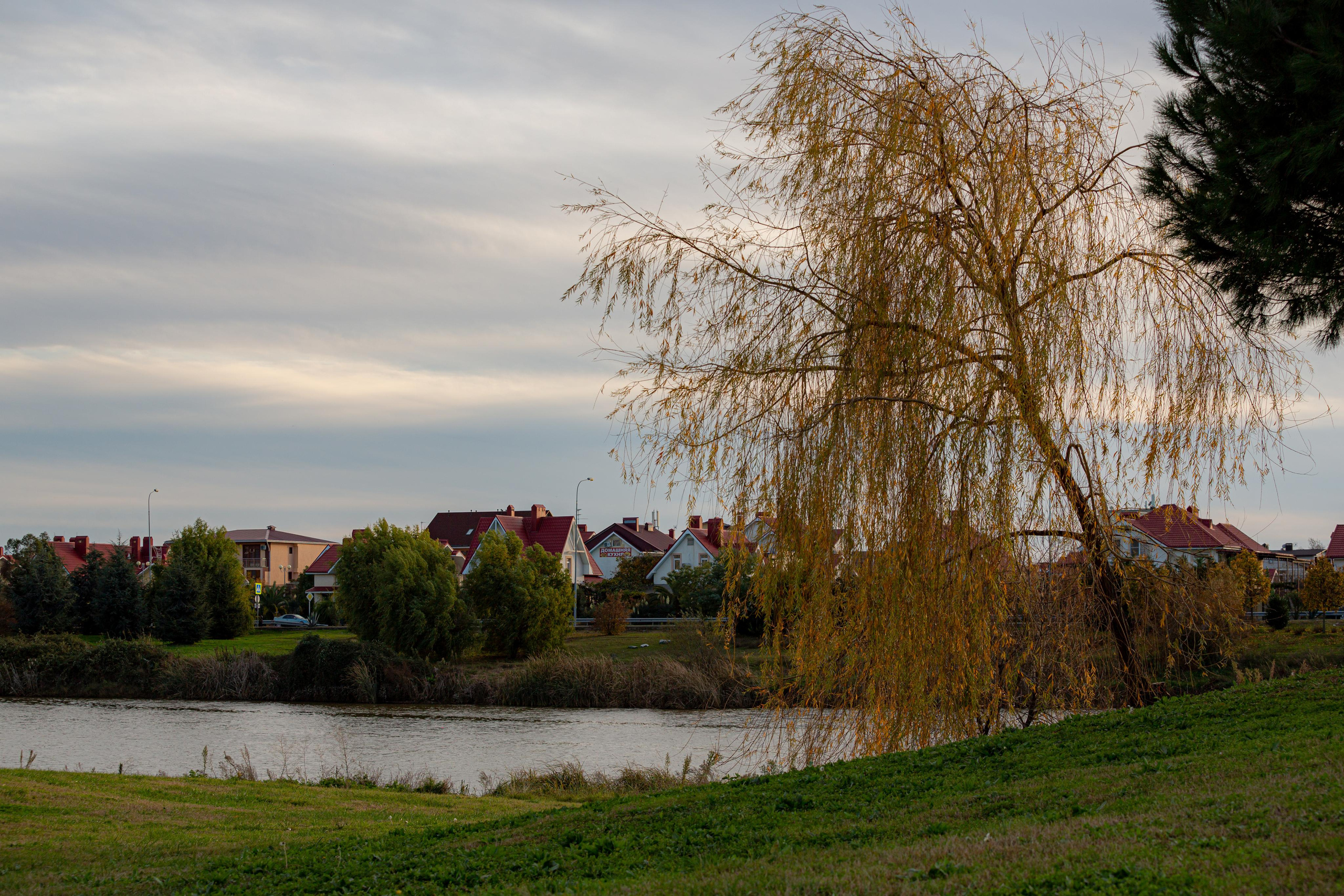 Адлер. Фотограф Сонкина Татьяна