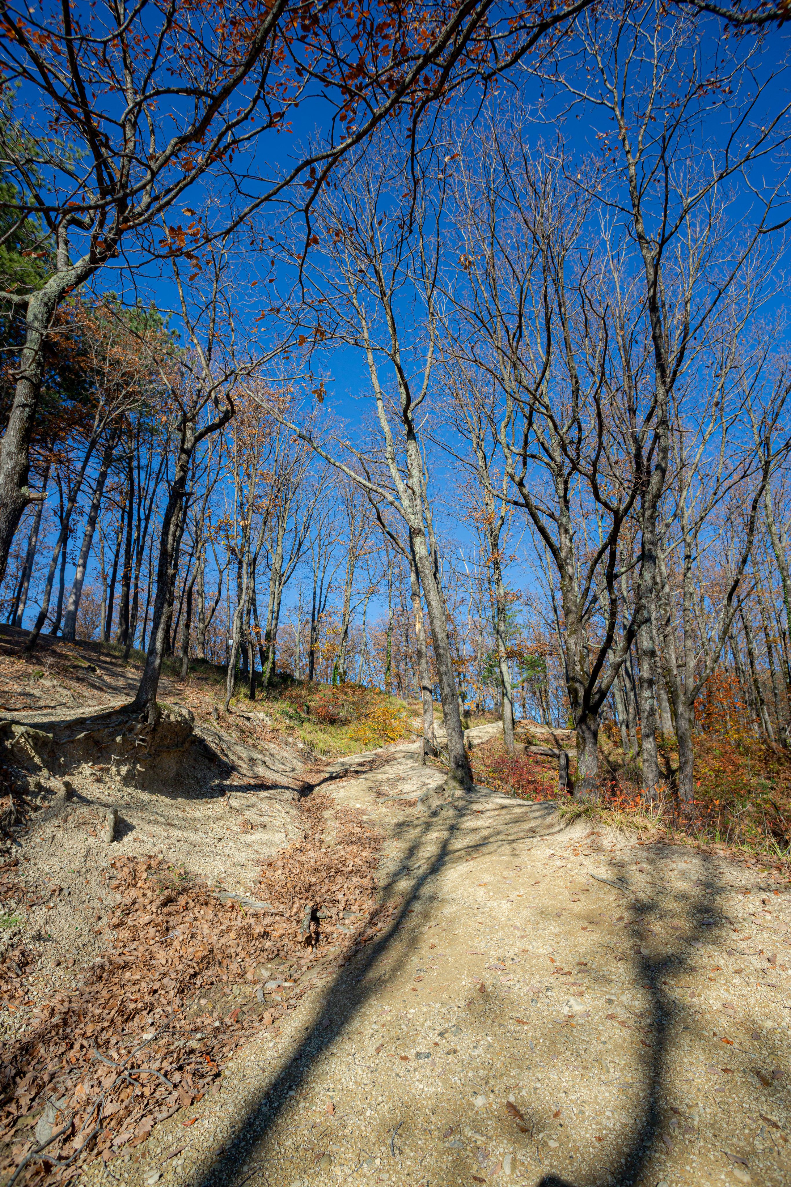 Туапсе. Photographer Sonkina Tatiana (Tanya Ash)