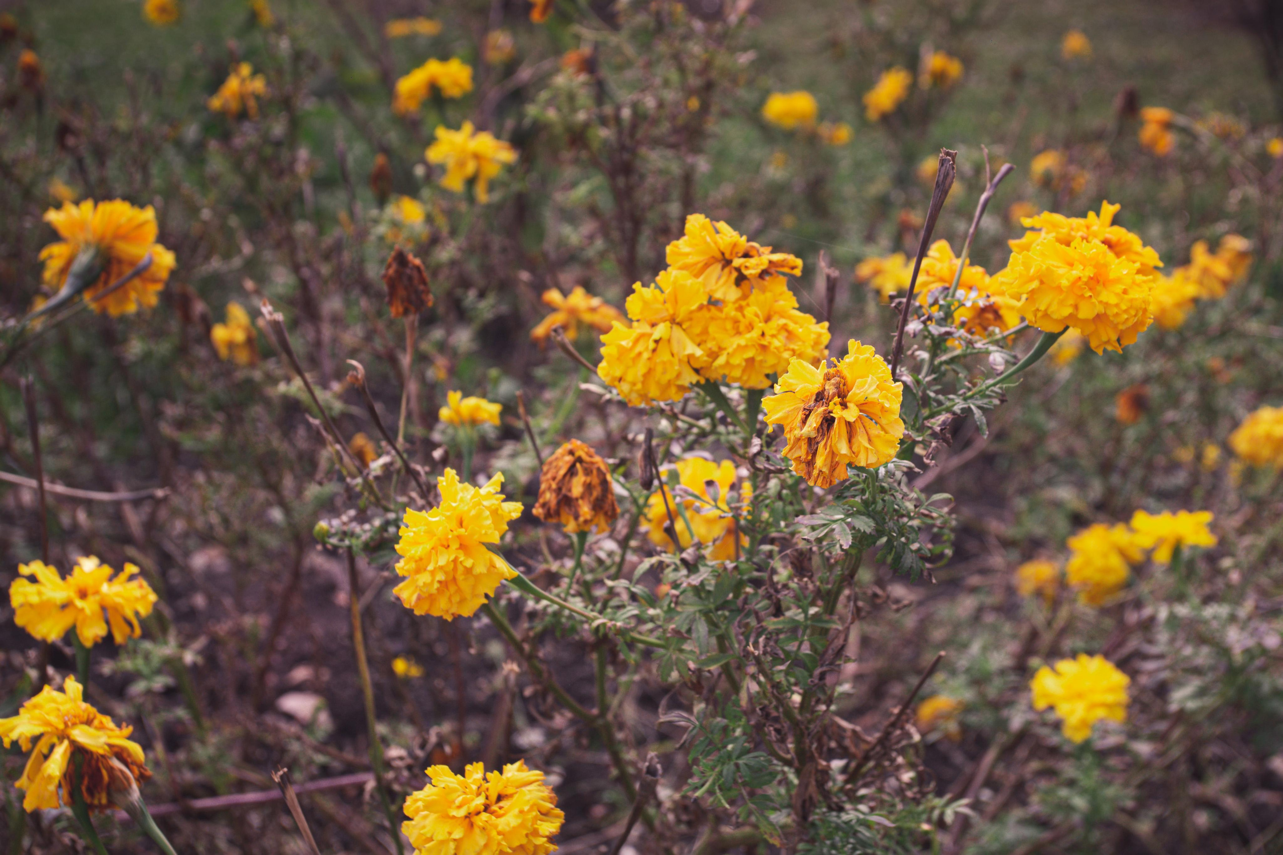 Туапсе. Photographer Sonkina Tatiana (Tanya Ash)