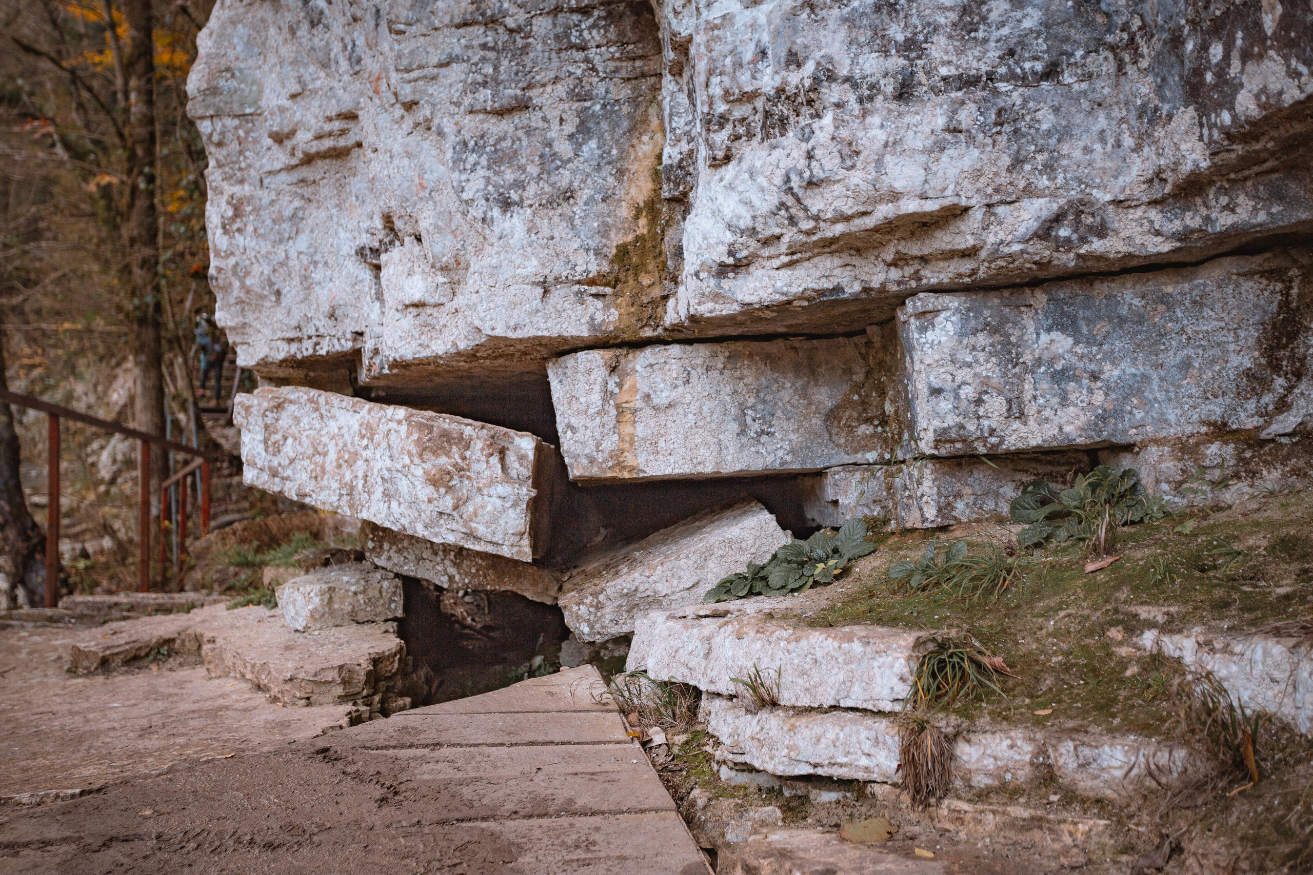 Тисо-самшитовая роща. Photographer Sonkina Tatiana (Tanya Ash)