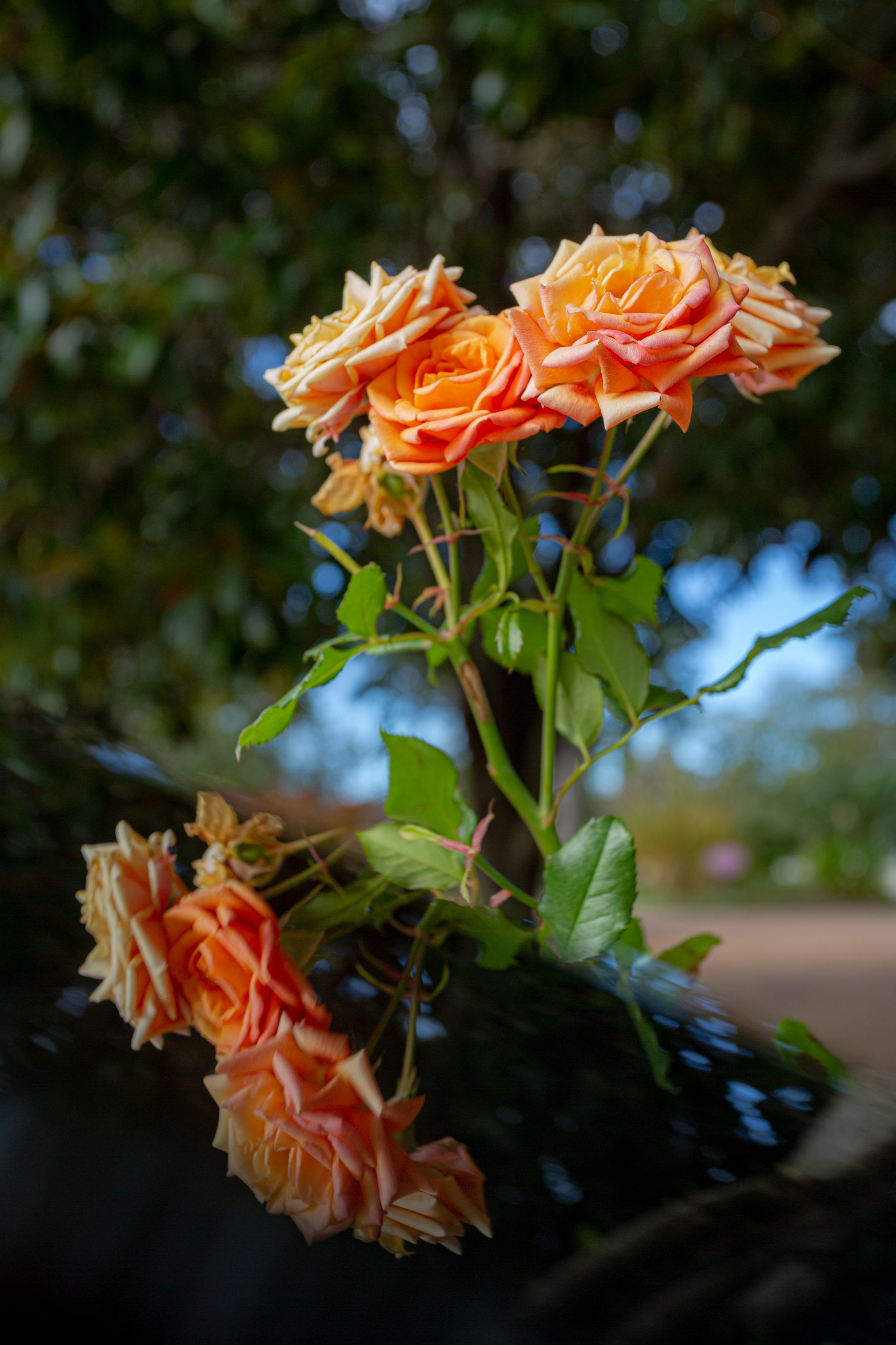 Туапсе. Photographer Sonkina Tatiana (Tanya Ash)