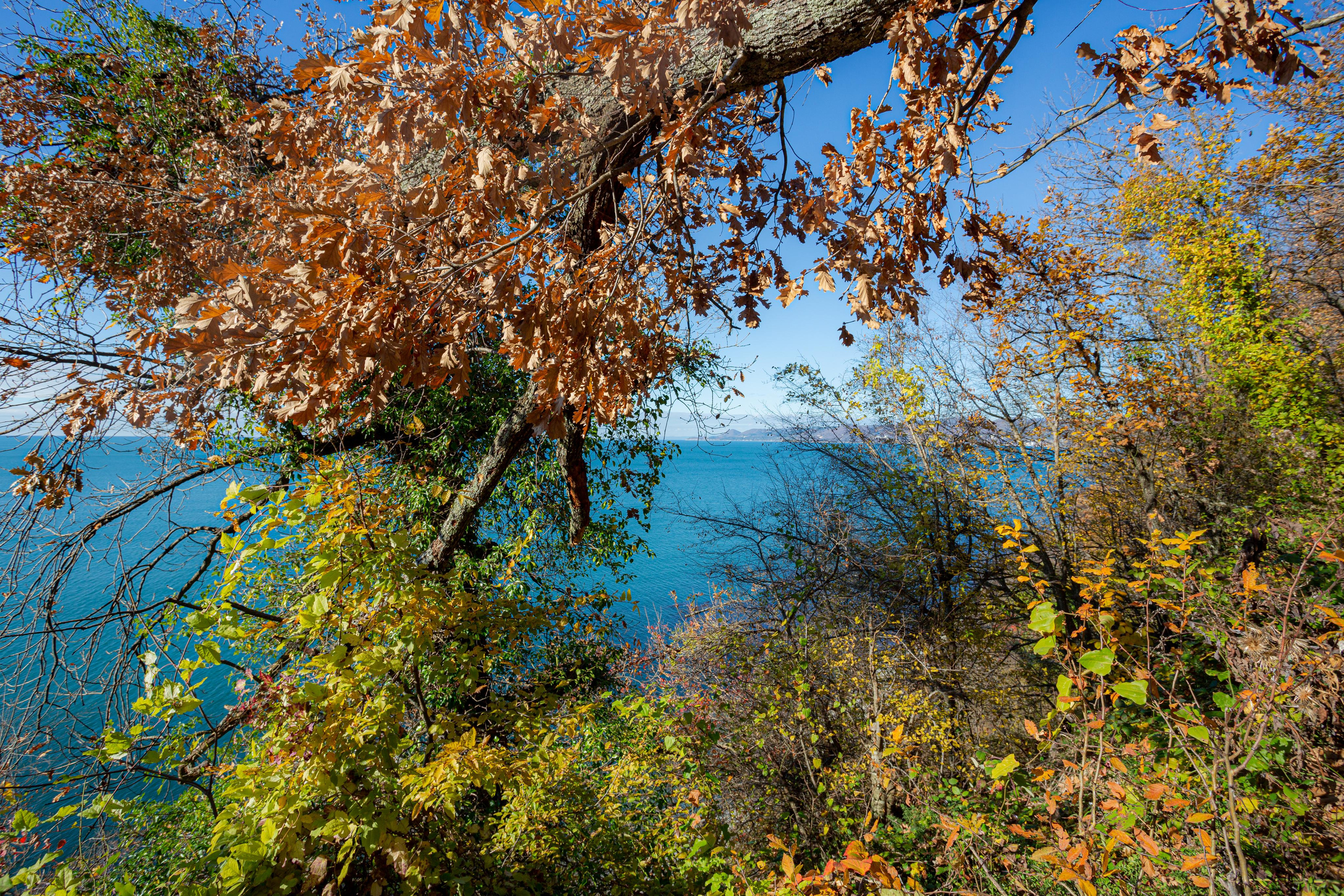 Туапсе. Photographer Sonkina Tatiana (Tanya Ash)