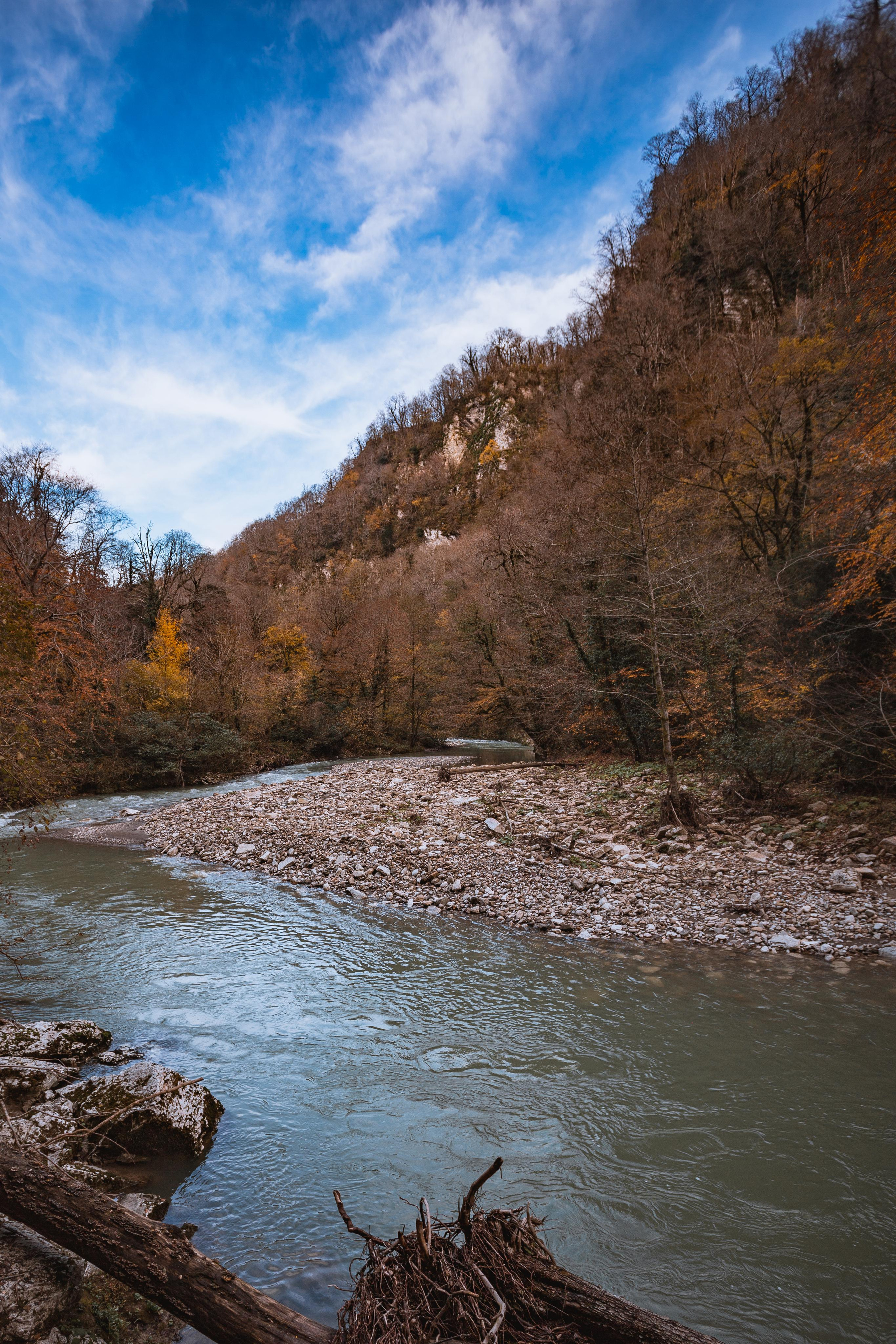 Тисо-самшитовая роща. Photographer Sonkina Tatiana (Tanya Ash)
