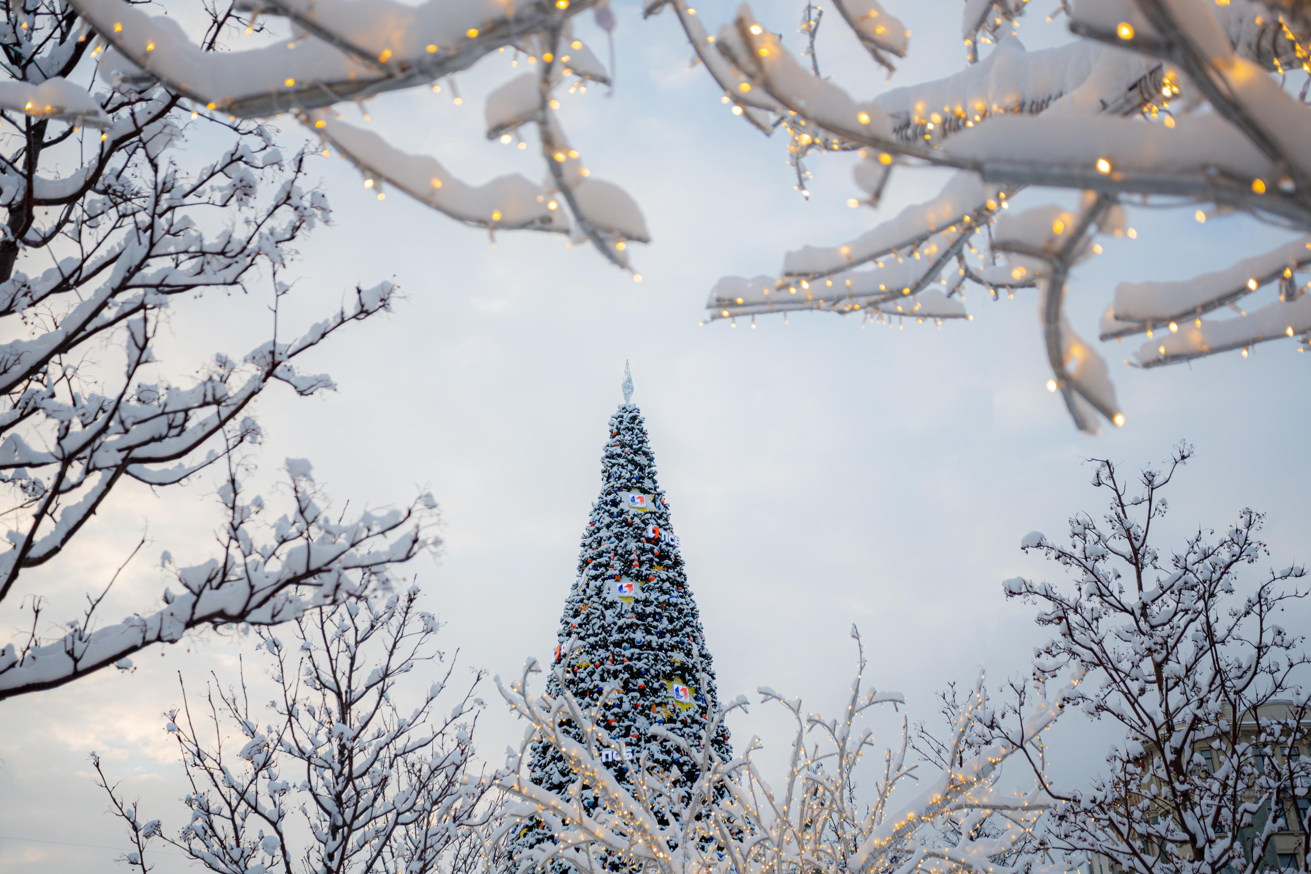 Москва. Photographer Sonkina Tatiana (Tanya Ash)