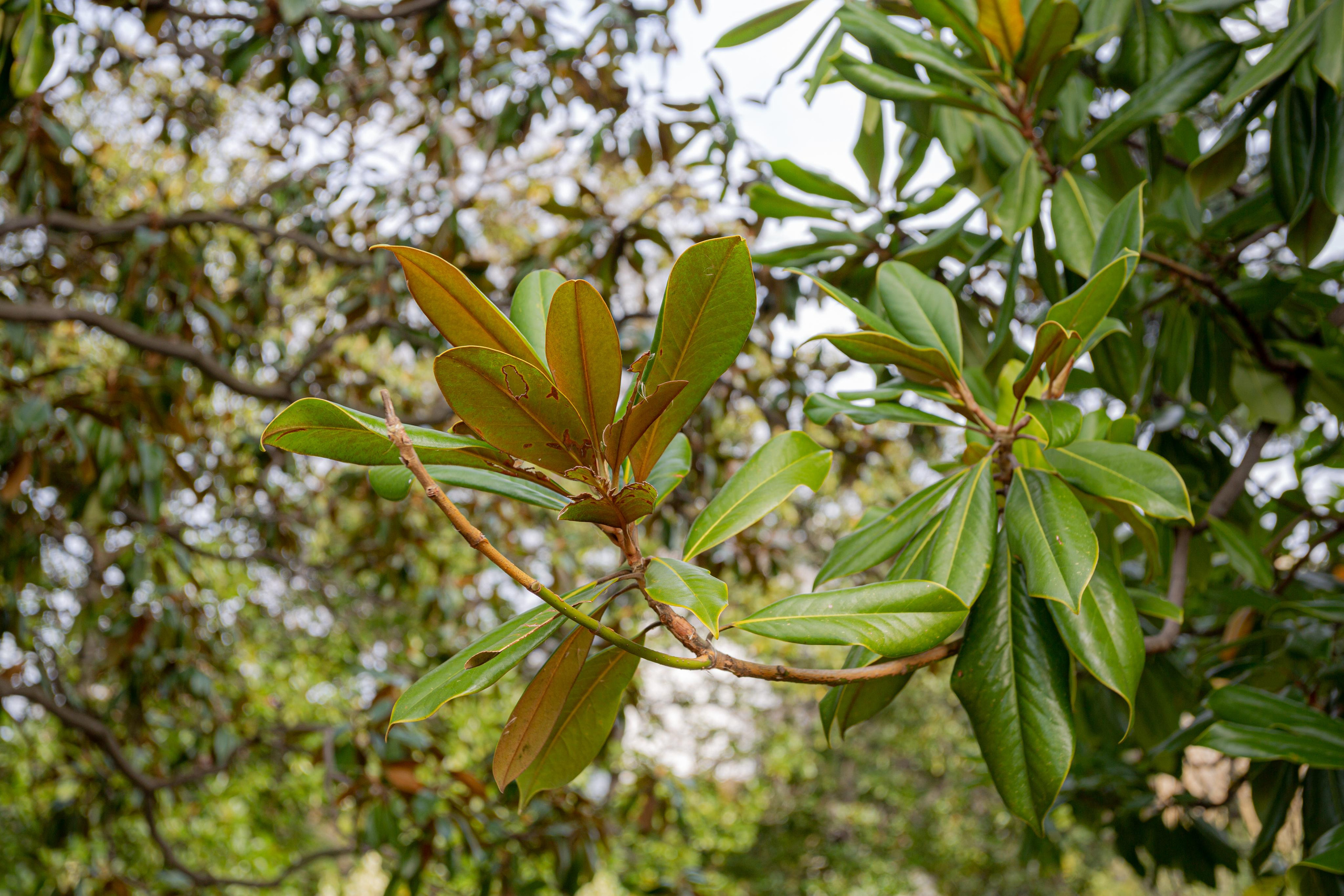Туапсе. Photographer Sonkina Tatiana (Tanya Ash)