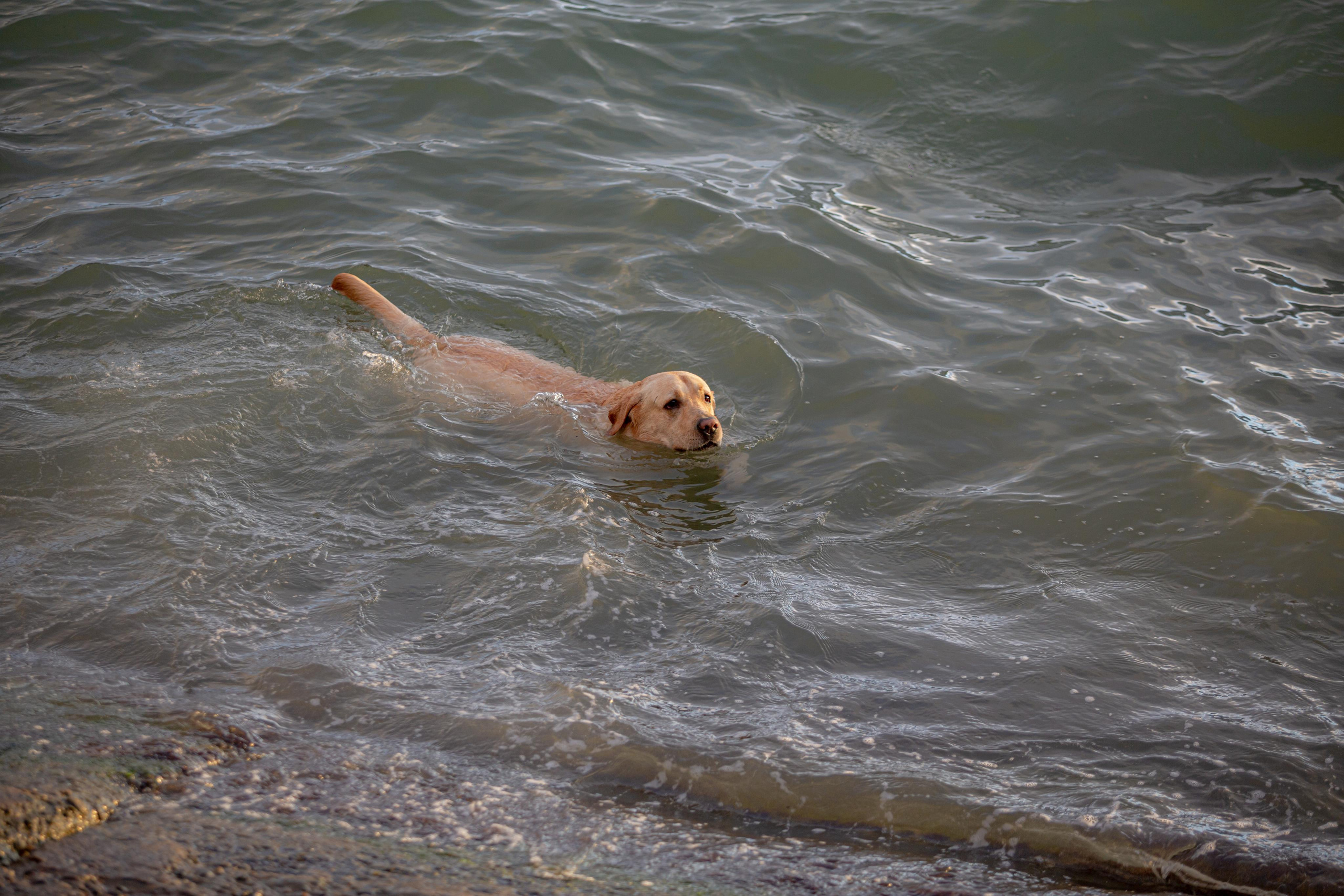 Туапсе. Photographer Sonkina Tatiana (Tanya Ash)