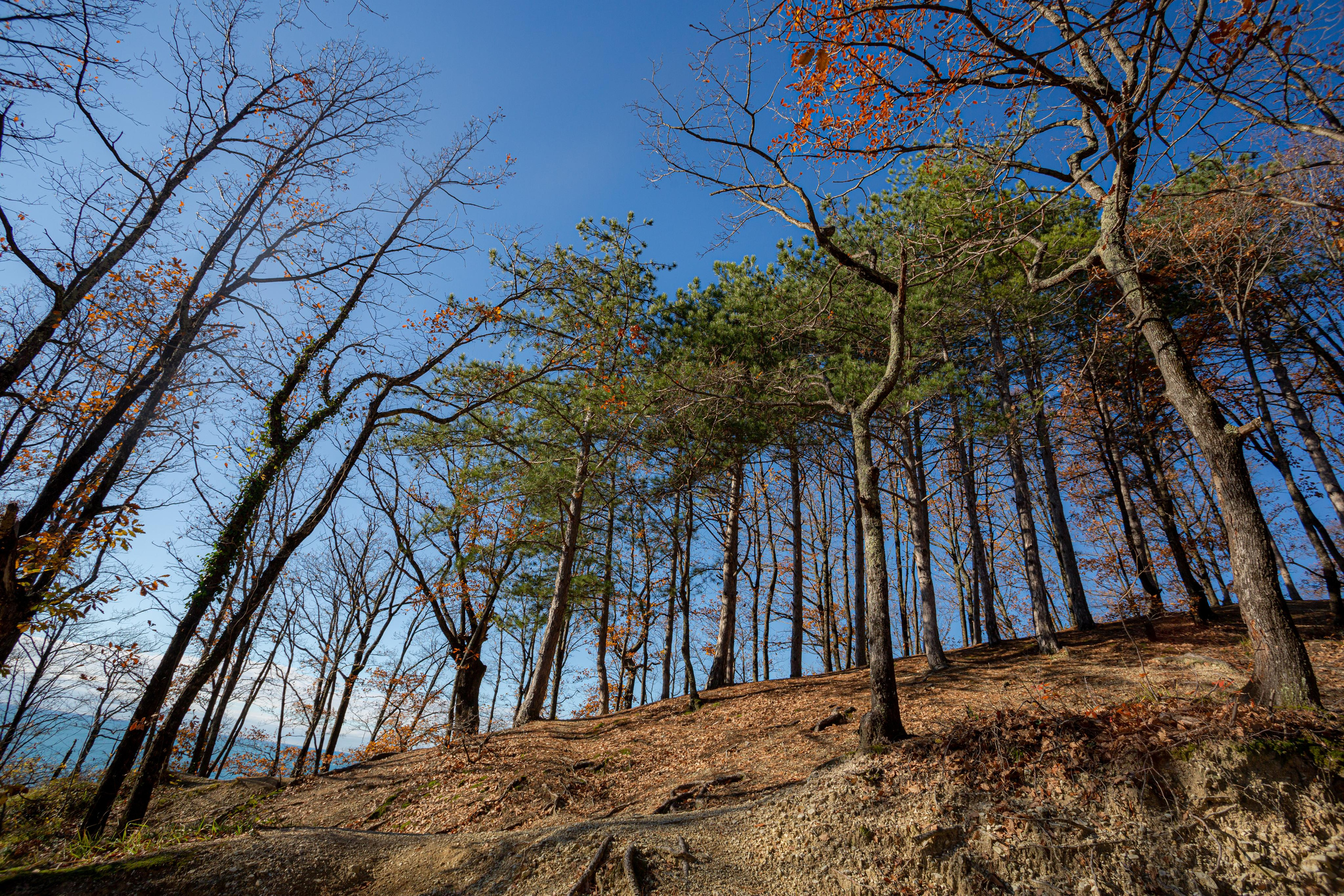 Туапсе. Photographer Sonkina Tatiana (Tanya Ash)