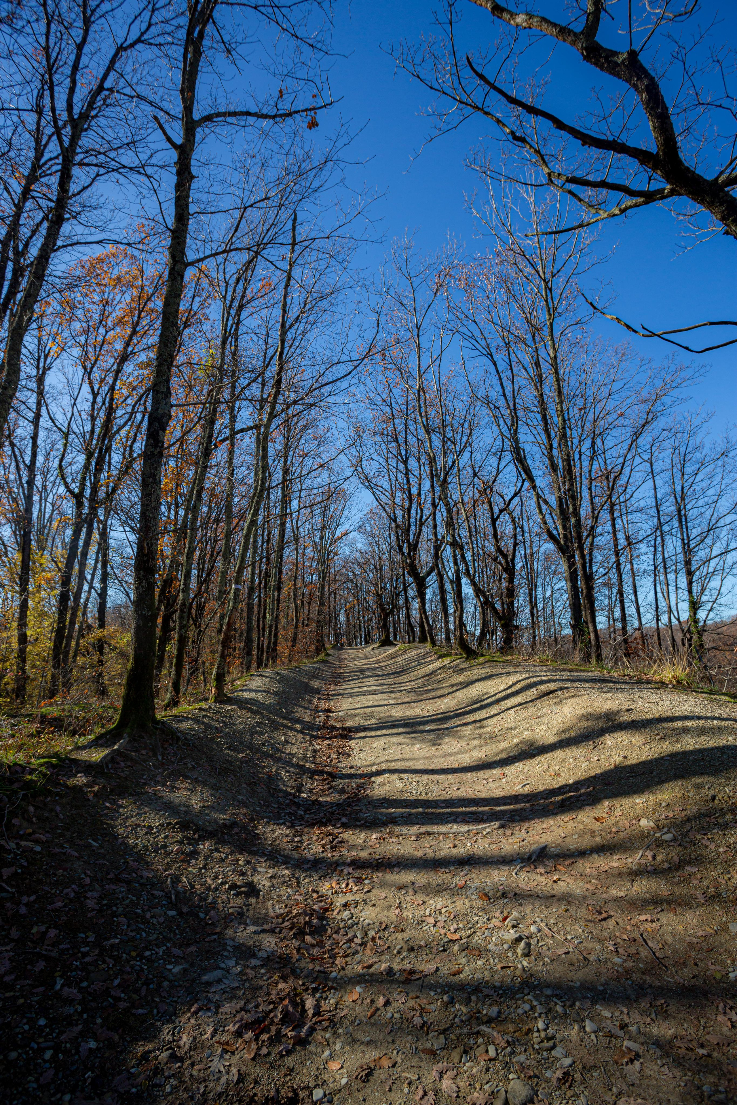 Туапсе. Photographer Sonkina Tatiana (Tanya Ash)